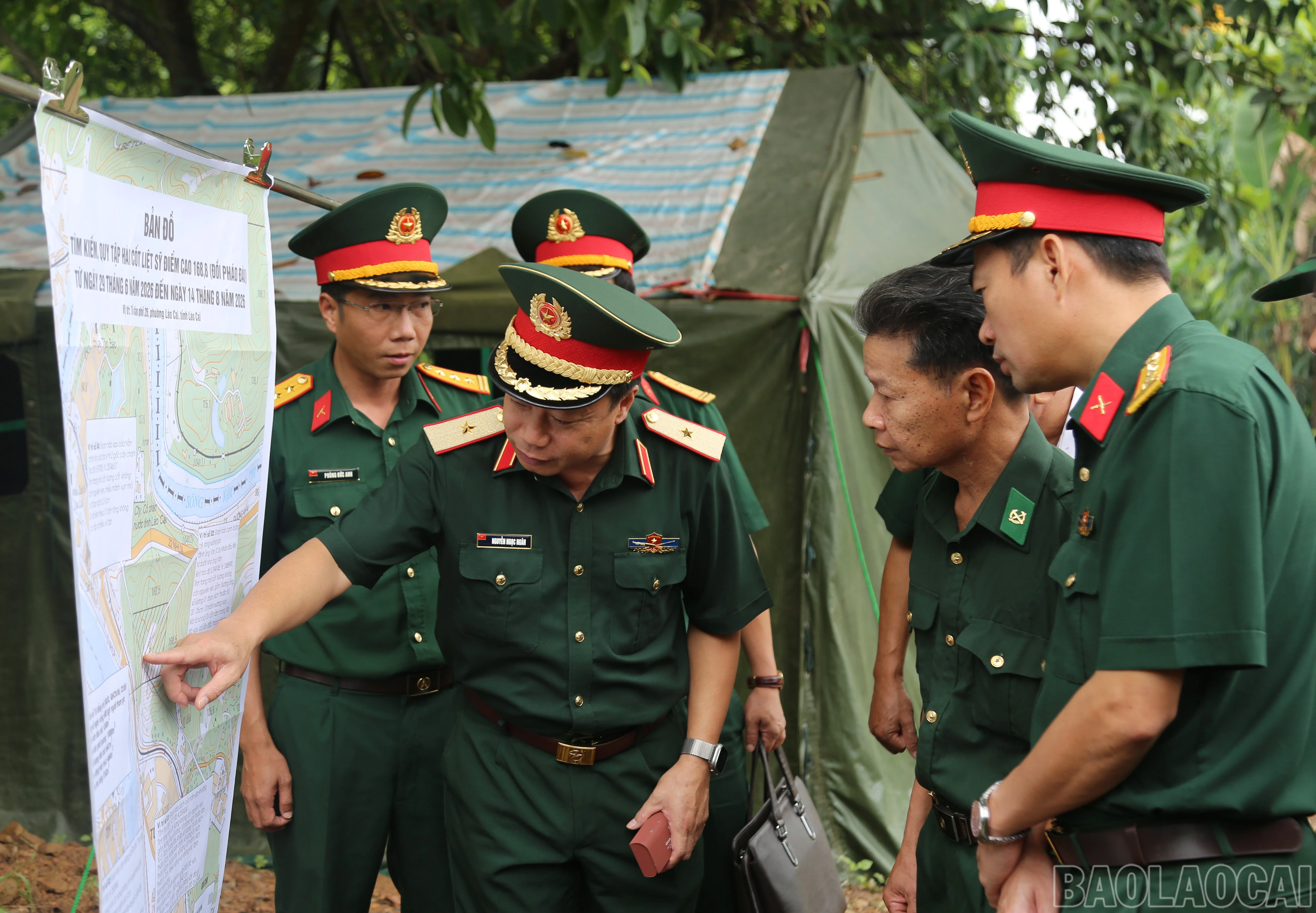 baolaocai-br_a-2.jpg