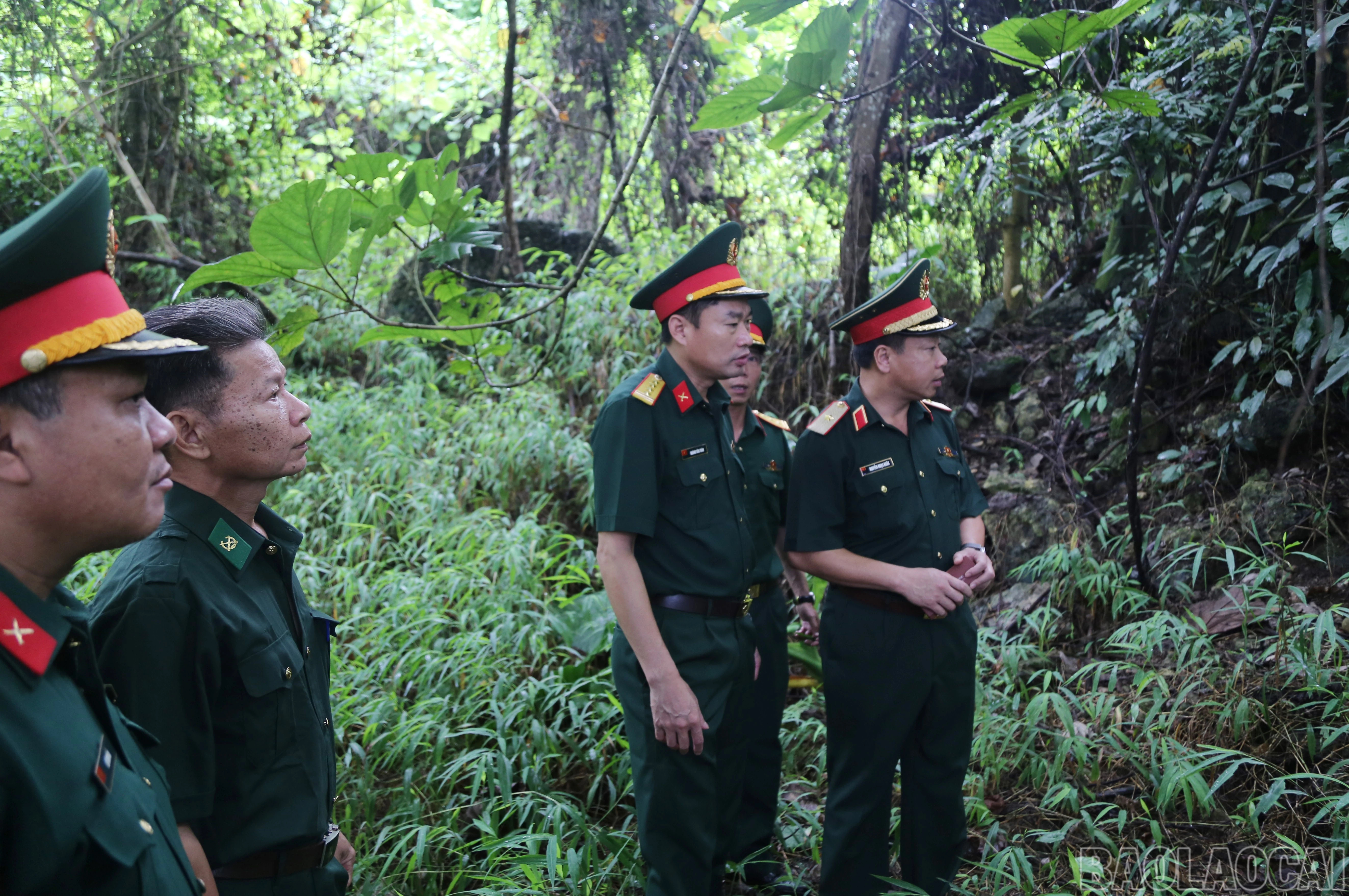 baolaocai-br_a-8.jpg