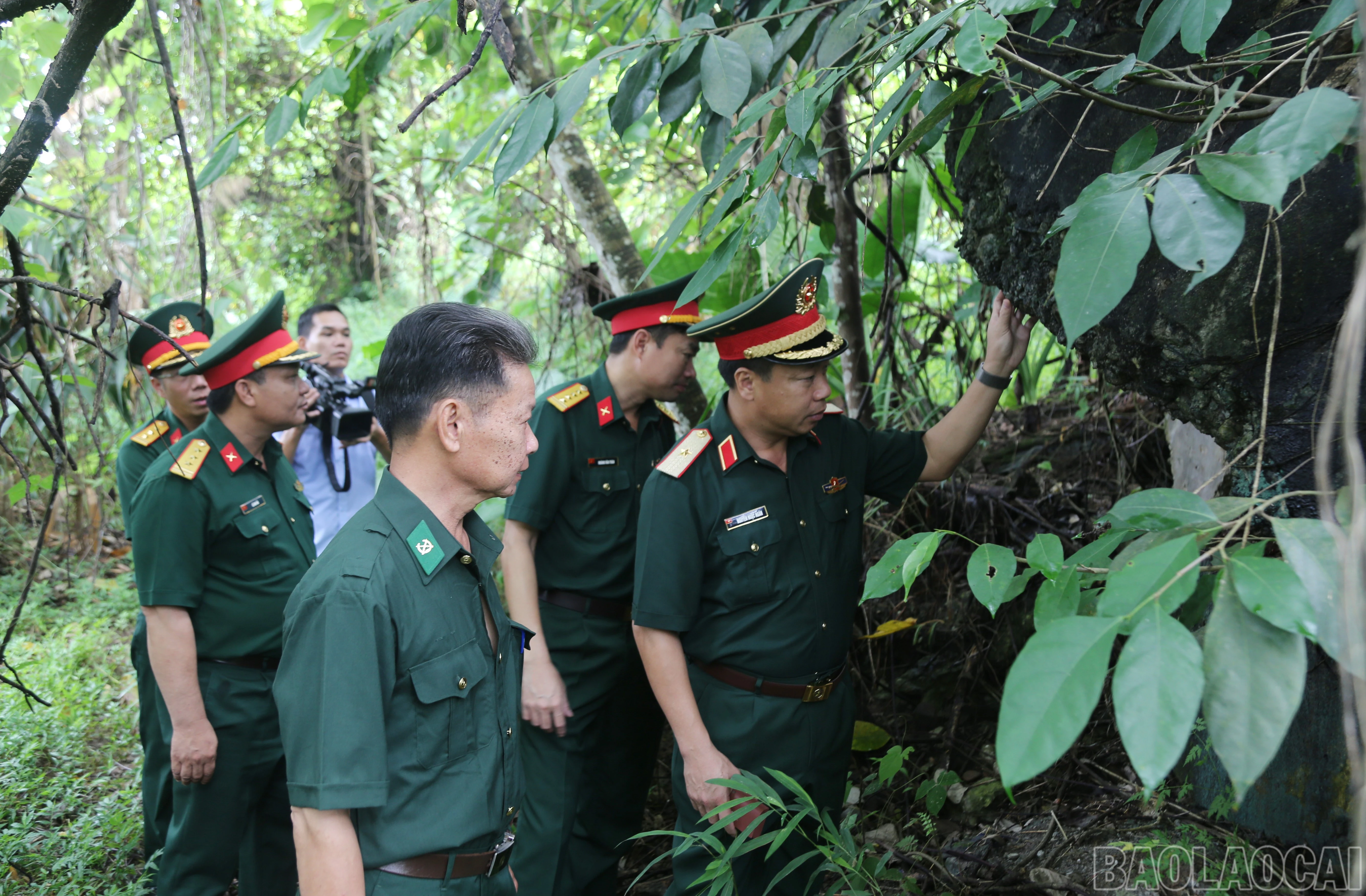 baolaocai-br_a-12.jpg