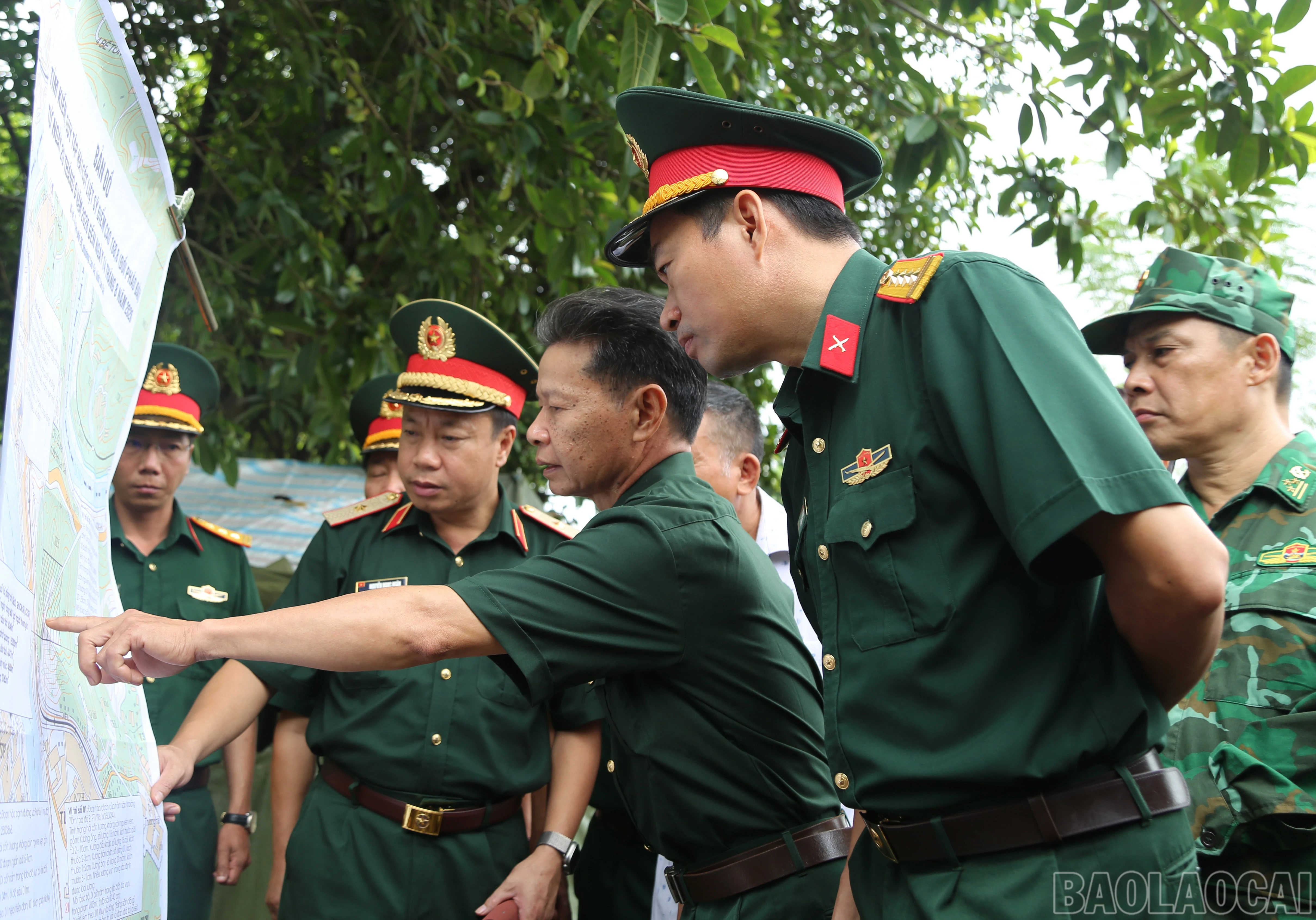 baolaocai-br_a-3.jpg