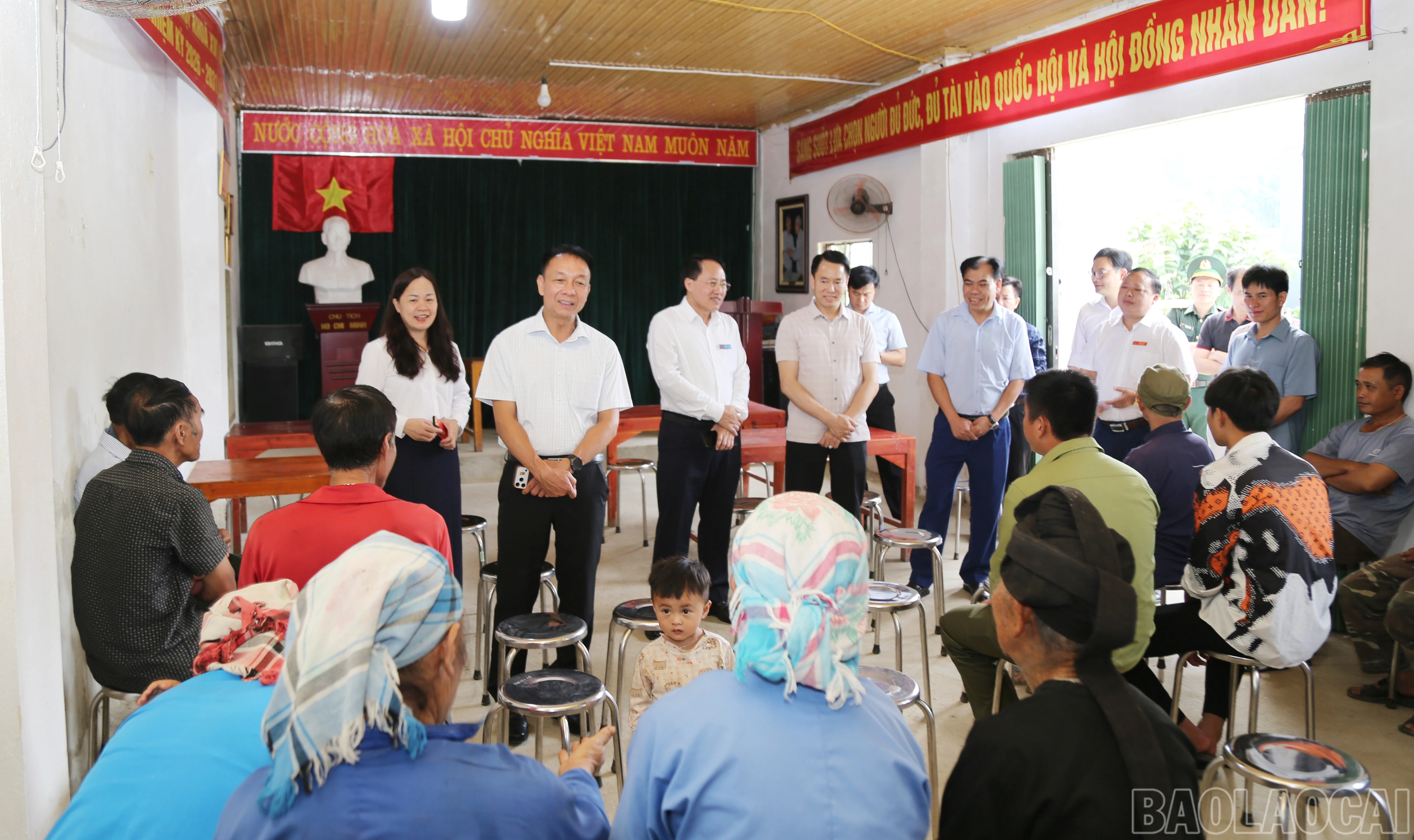 baolaocai-br_a-9.jpg