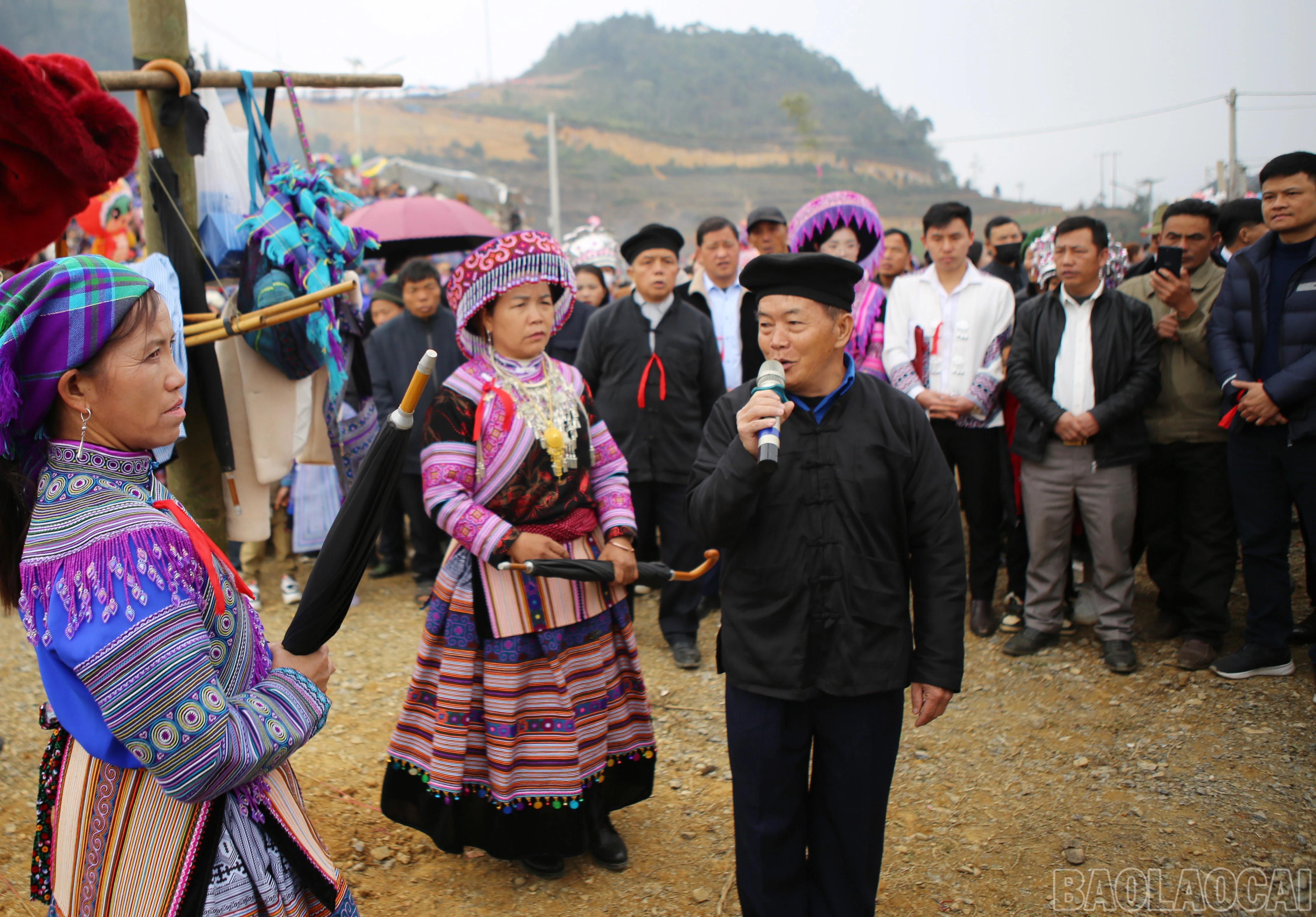 baolaocai-br_si-8.jpg