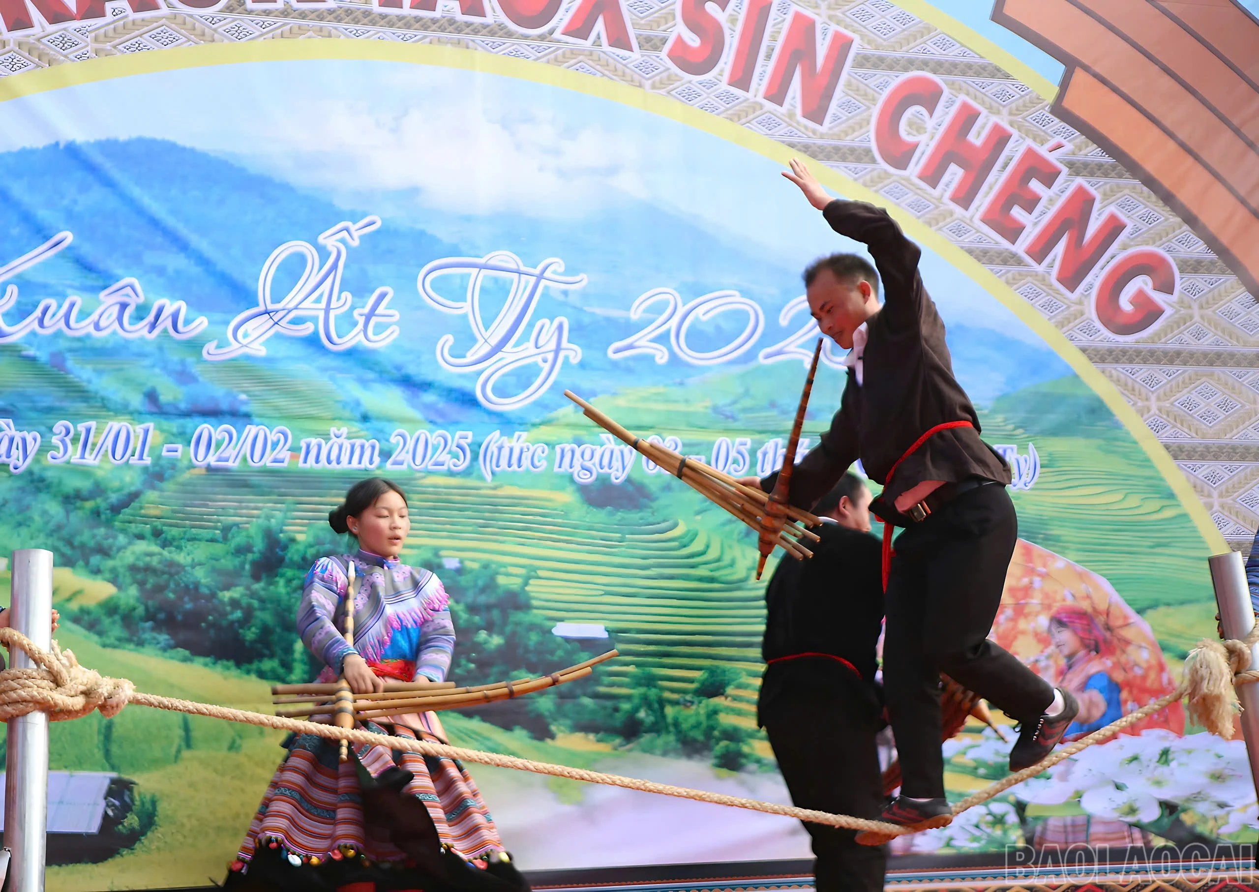 baolaocai-br_z6277130197883-ec708a81ea01ef42c4e368becf849b99.jpg