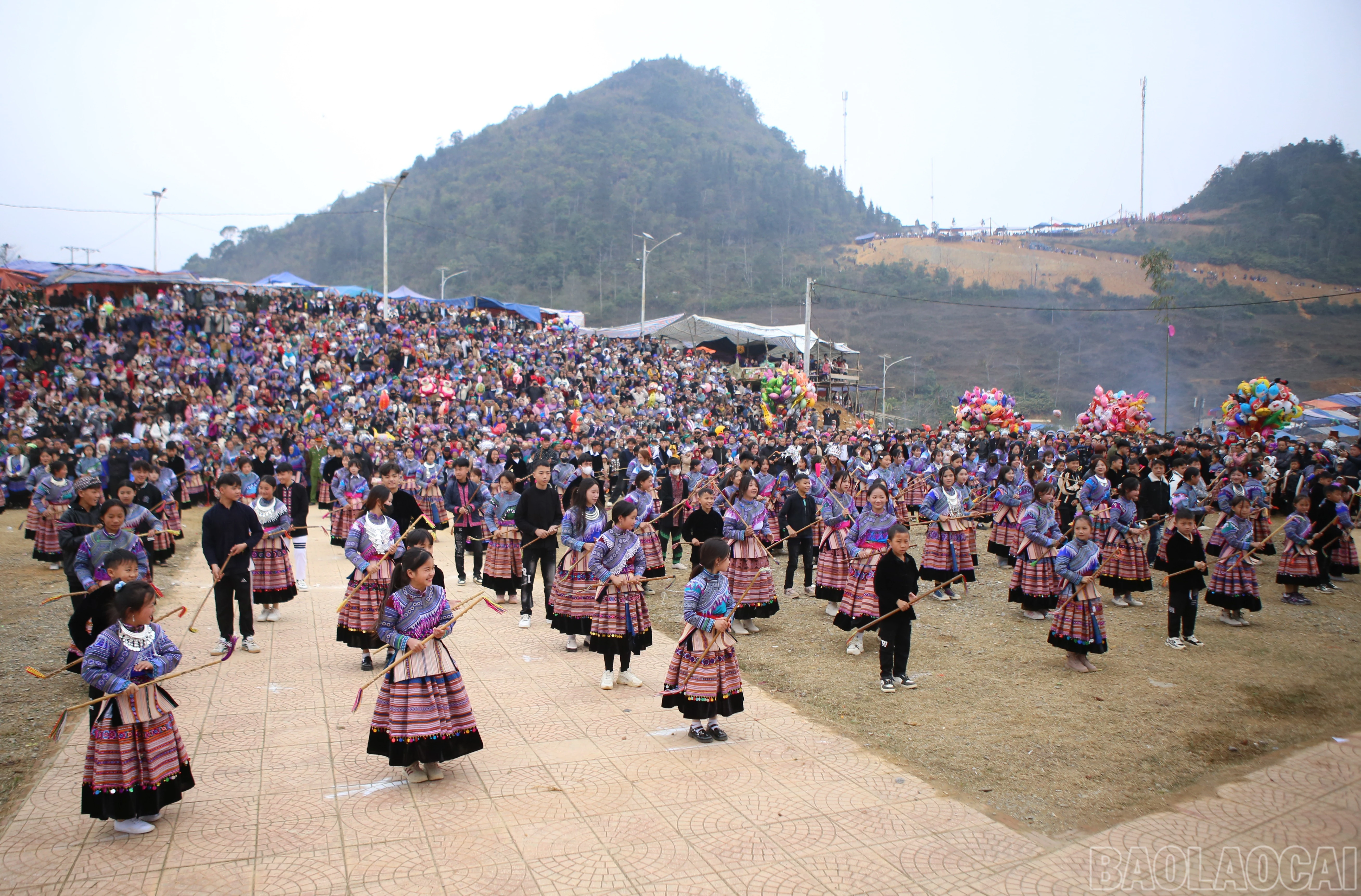 baolaocai-br_si-10.jpg