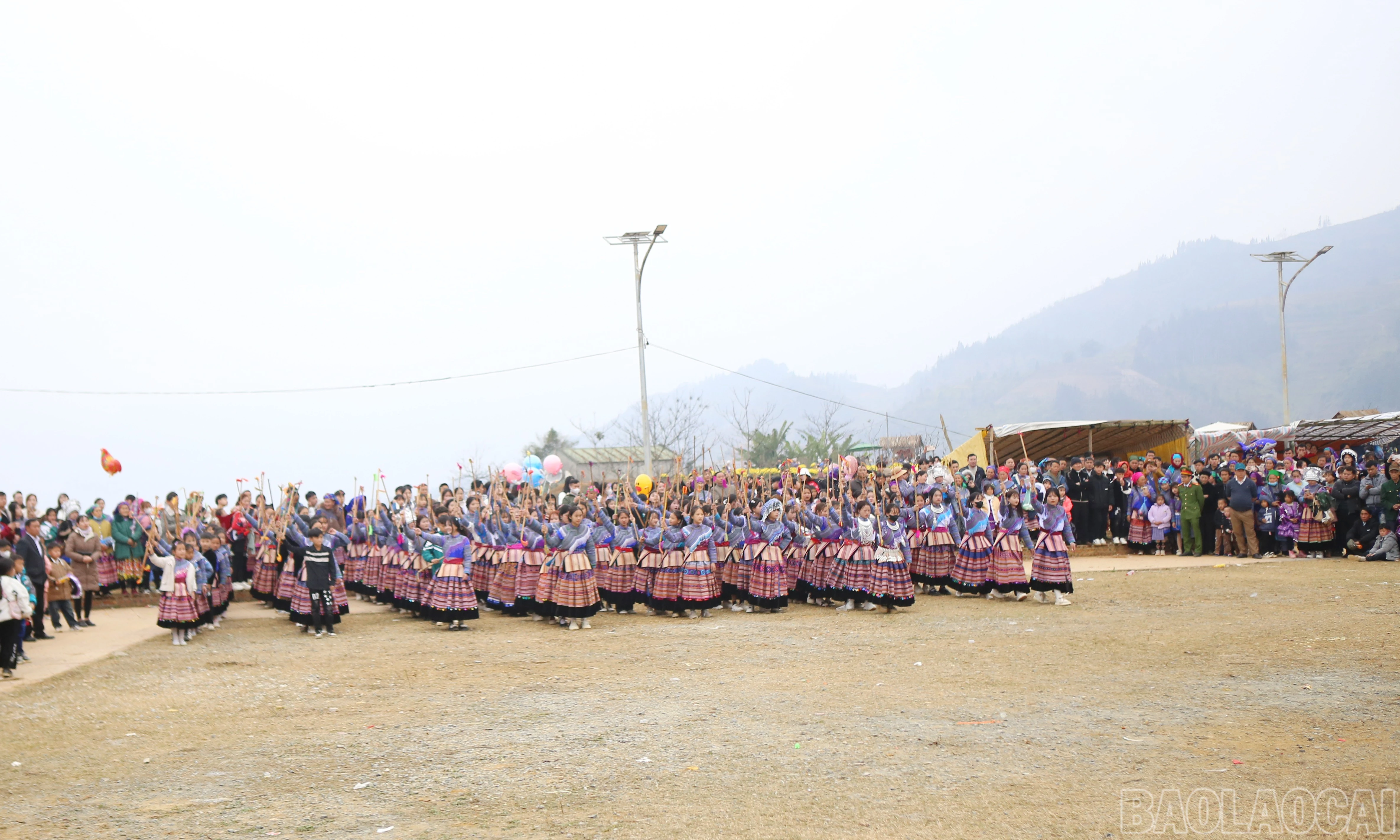 baolaocai-br_si-9.jpg