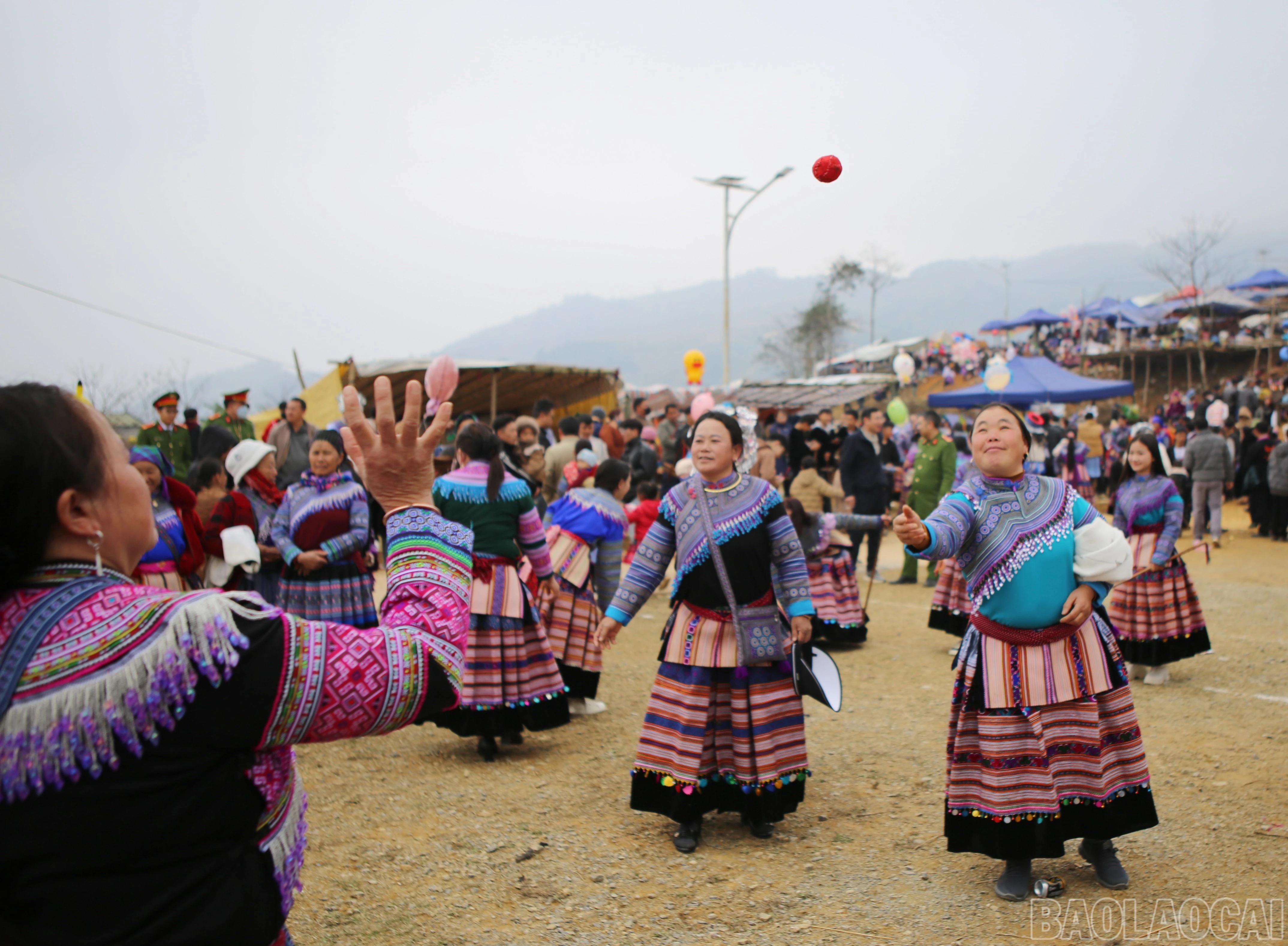 baolaocai-br_si-16.jpg