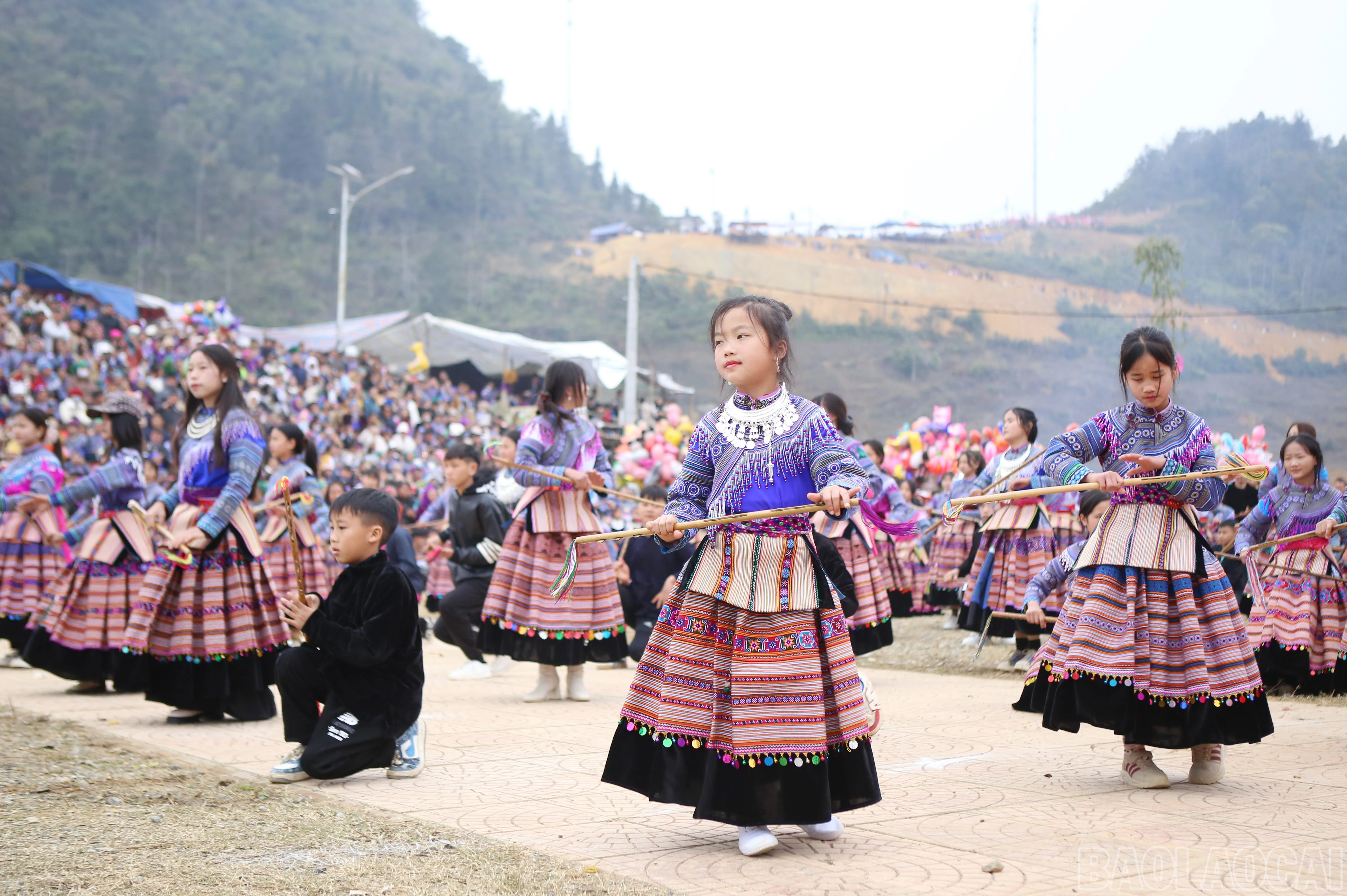 baolaocai-br_si-11.jpg