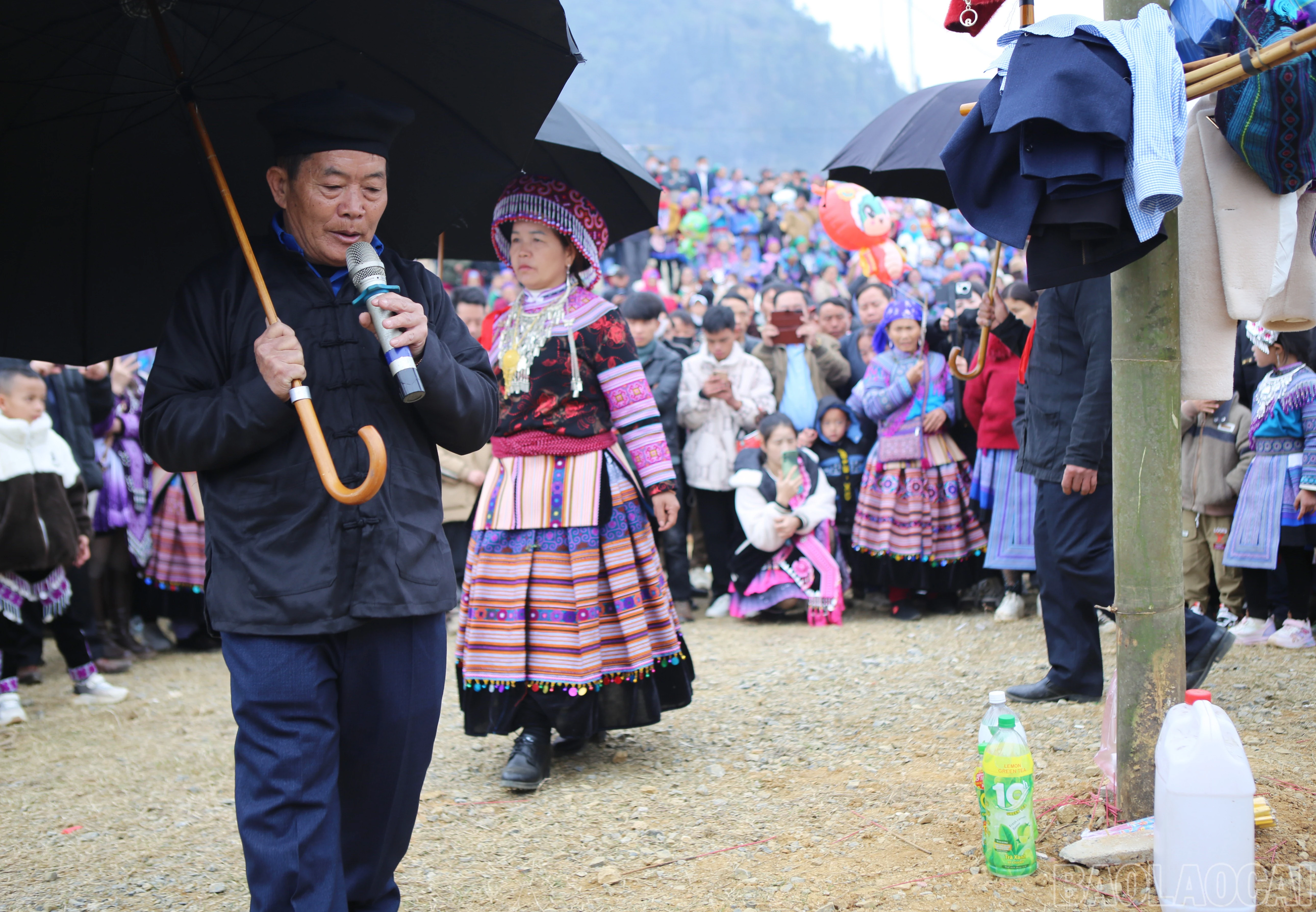 baolaocai-br_si-7.jpg