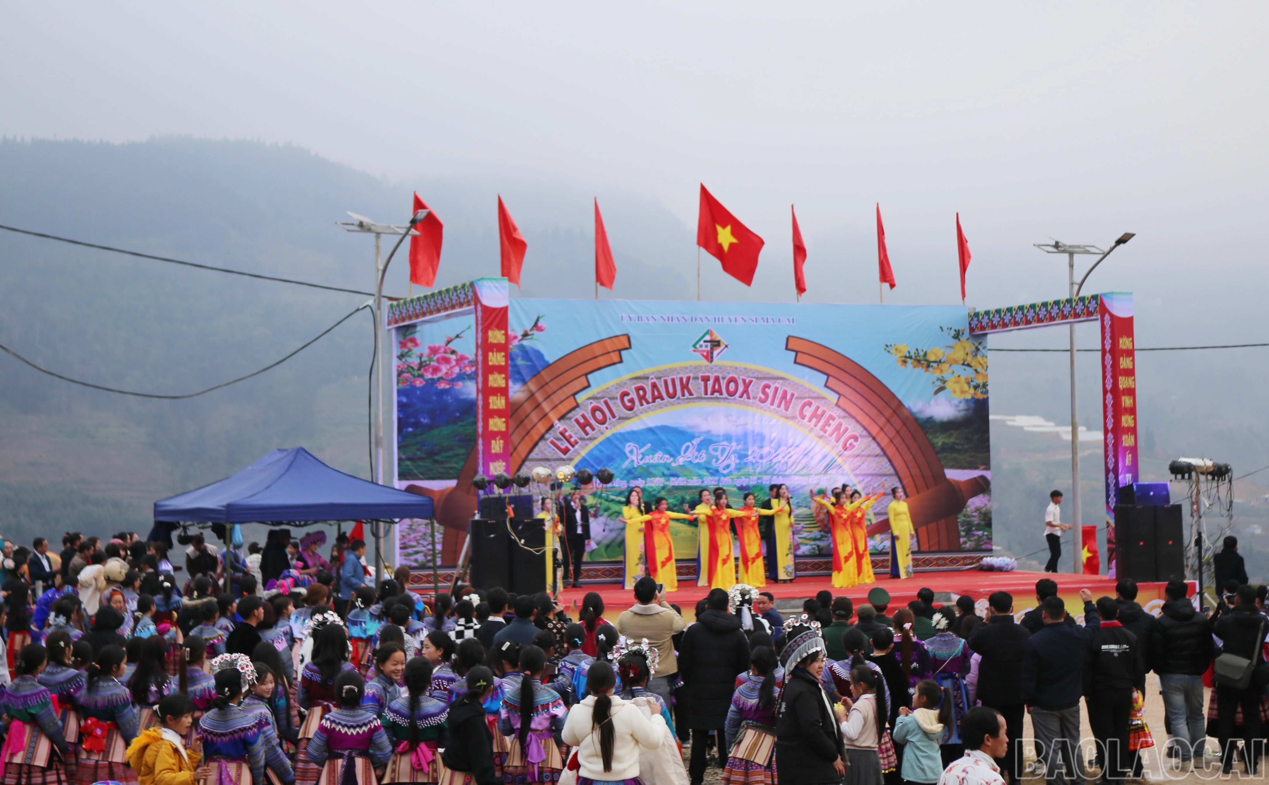 baolaocai-br_si-1.jpg