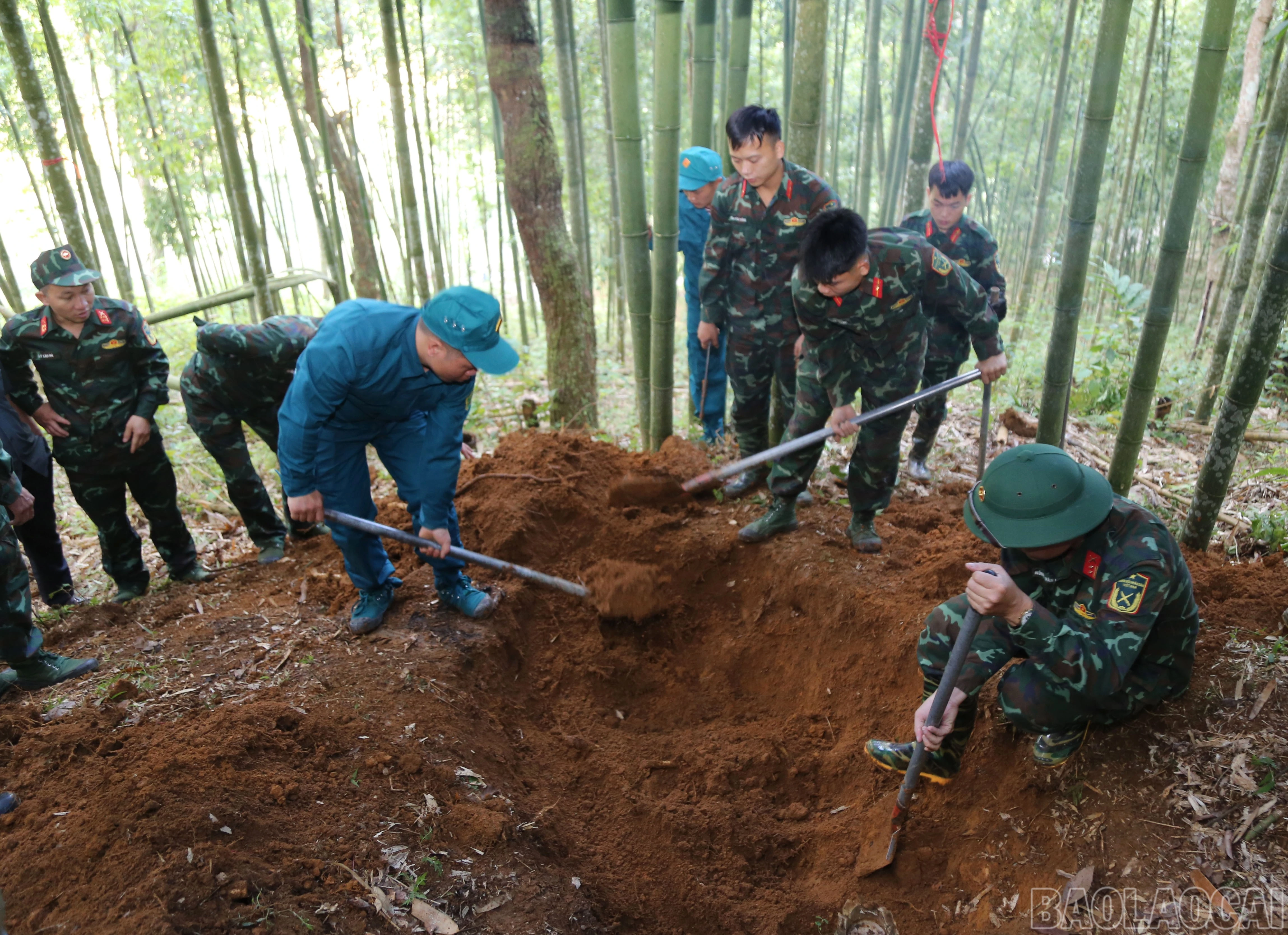 baolaocai-br_a-2.jpg