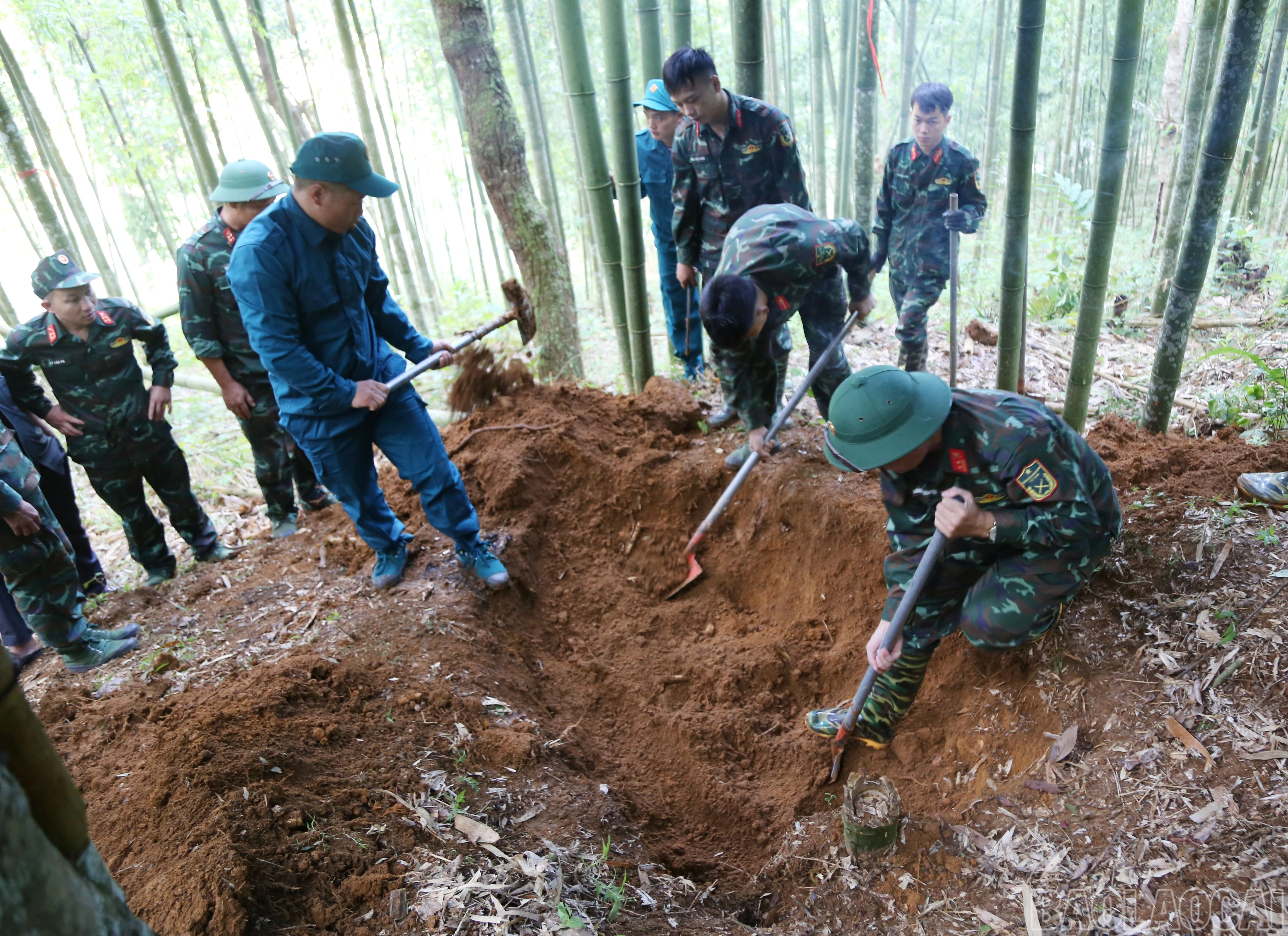 baolaocai-br_a-1.jpg