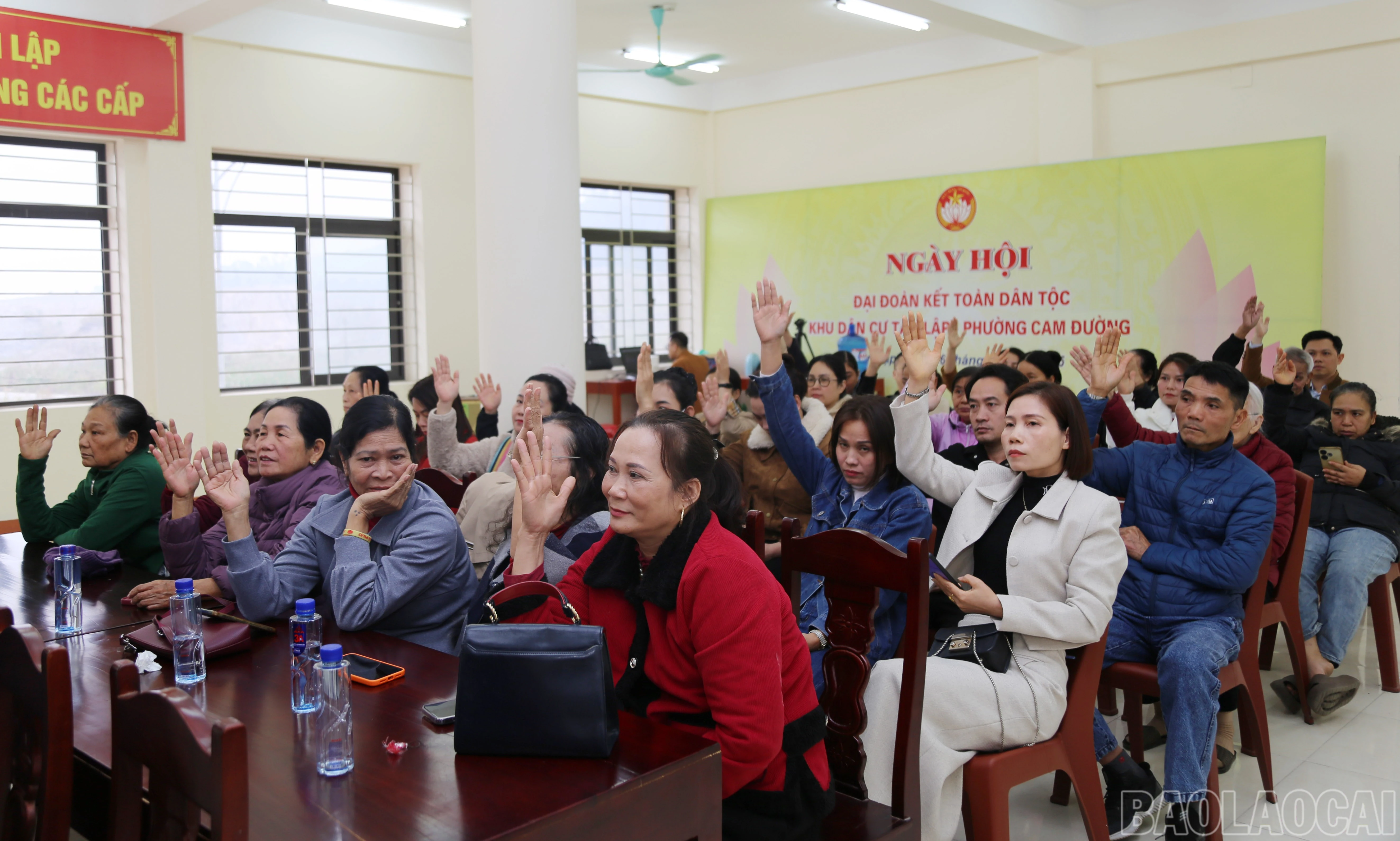 baolaocai-br_b-4.jpg