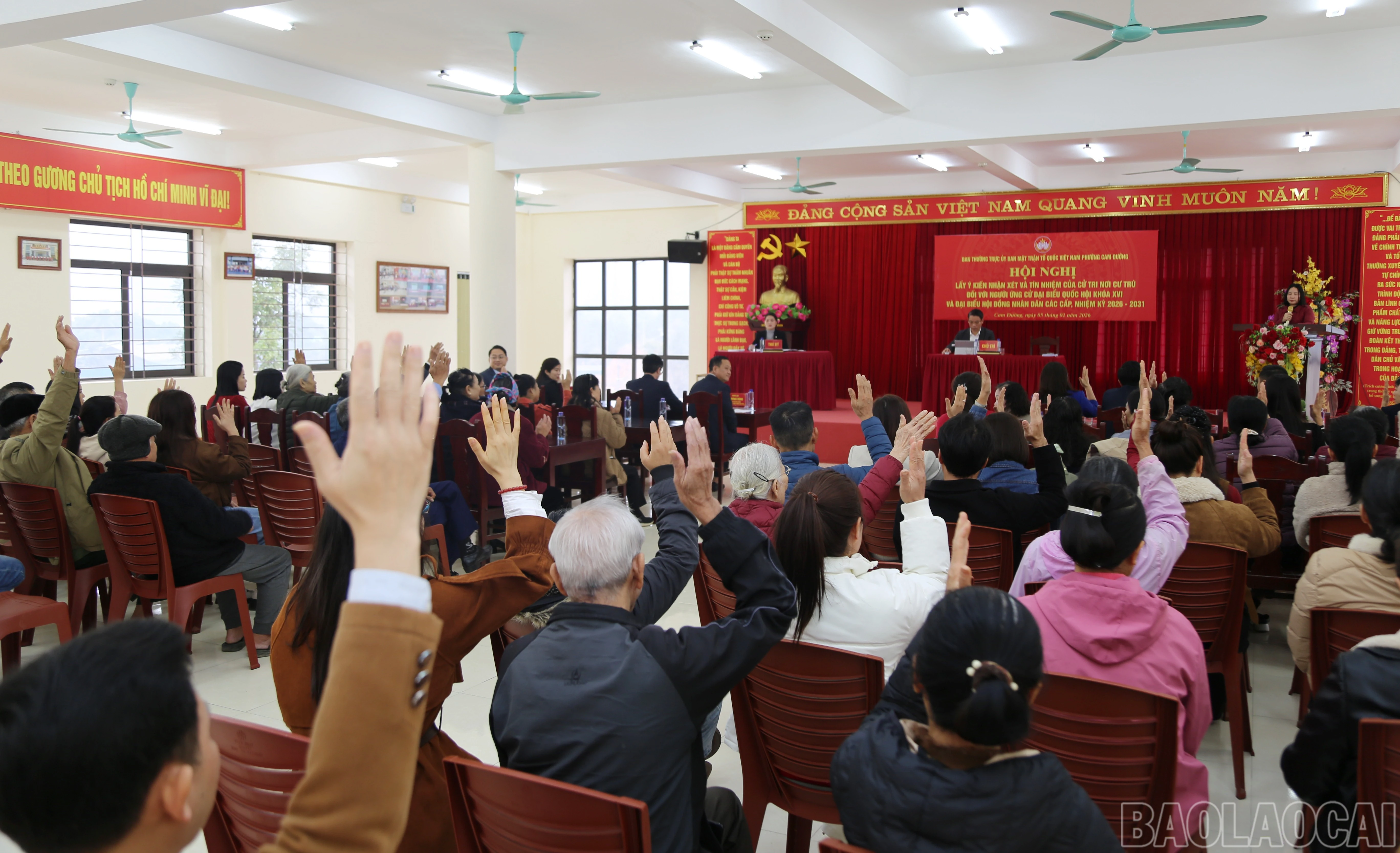 baolaocai-br_b-5.jpg