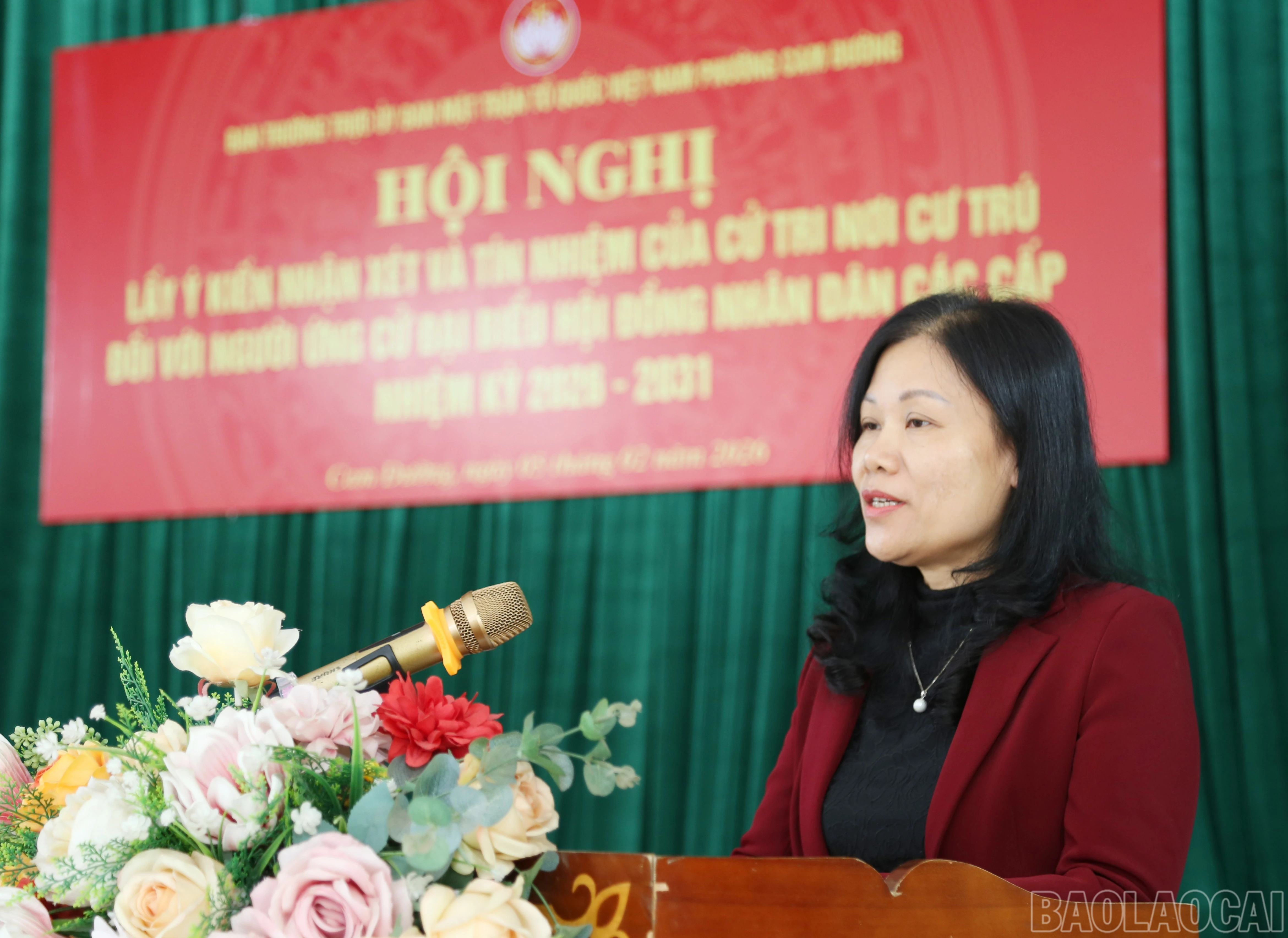 baolaocai-br_c-5.jpg