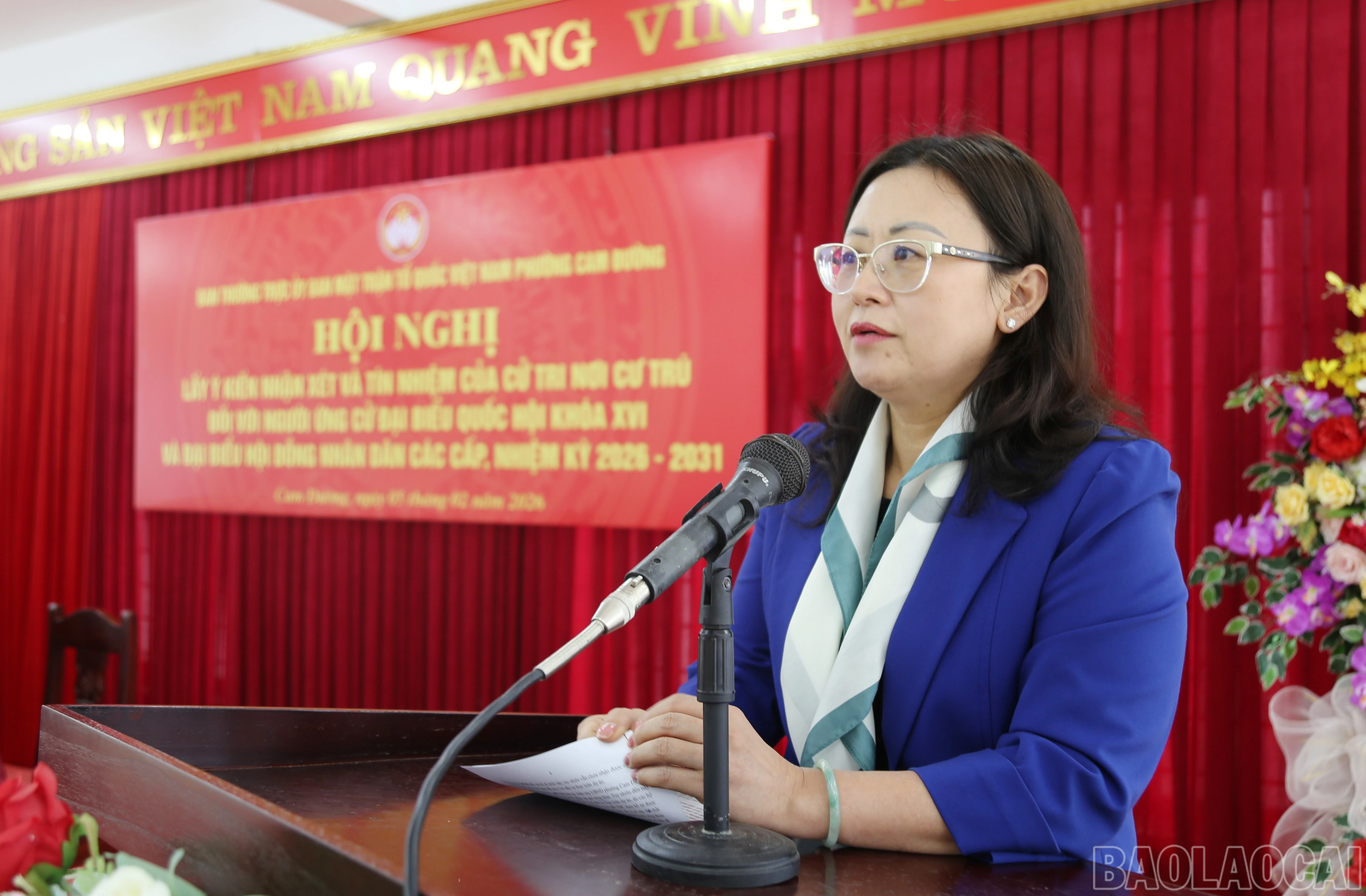 baolaocai-br_b-3.jpg