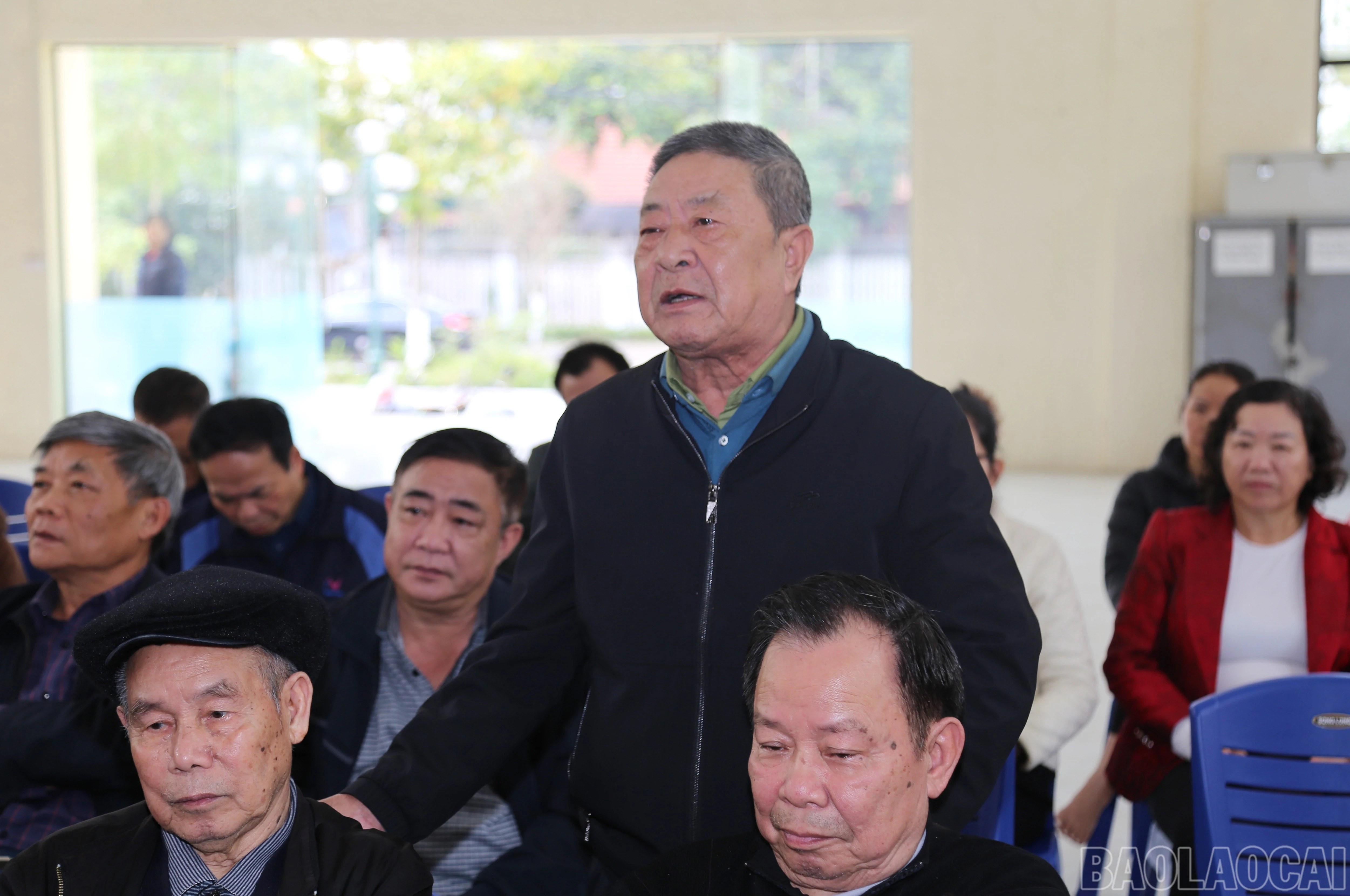 baolaocai-br_c-3.jpg