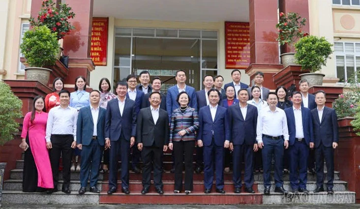 baolaocai-br_mk-6.jpg