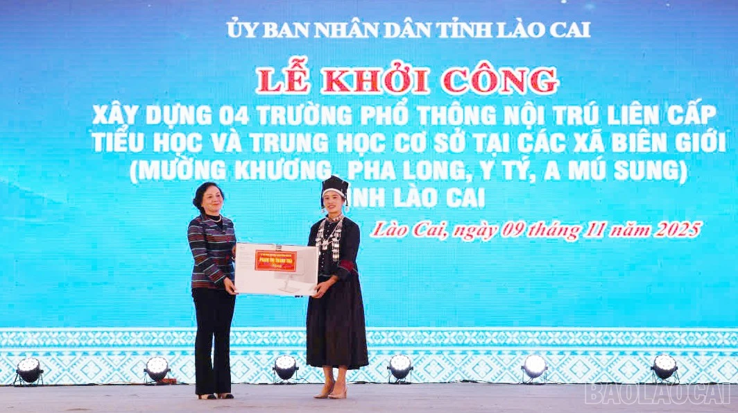 baolaocai-br_7.jpg