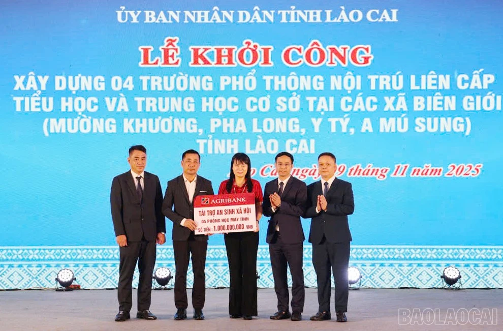 baolaocai-br_8.jpg