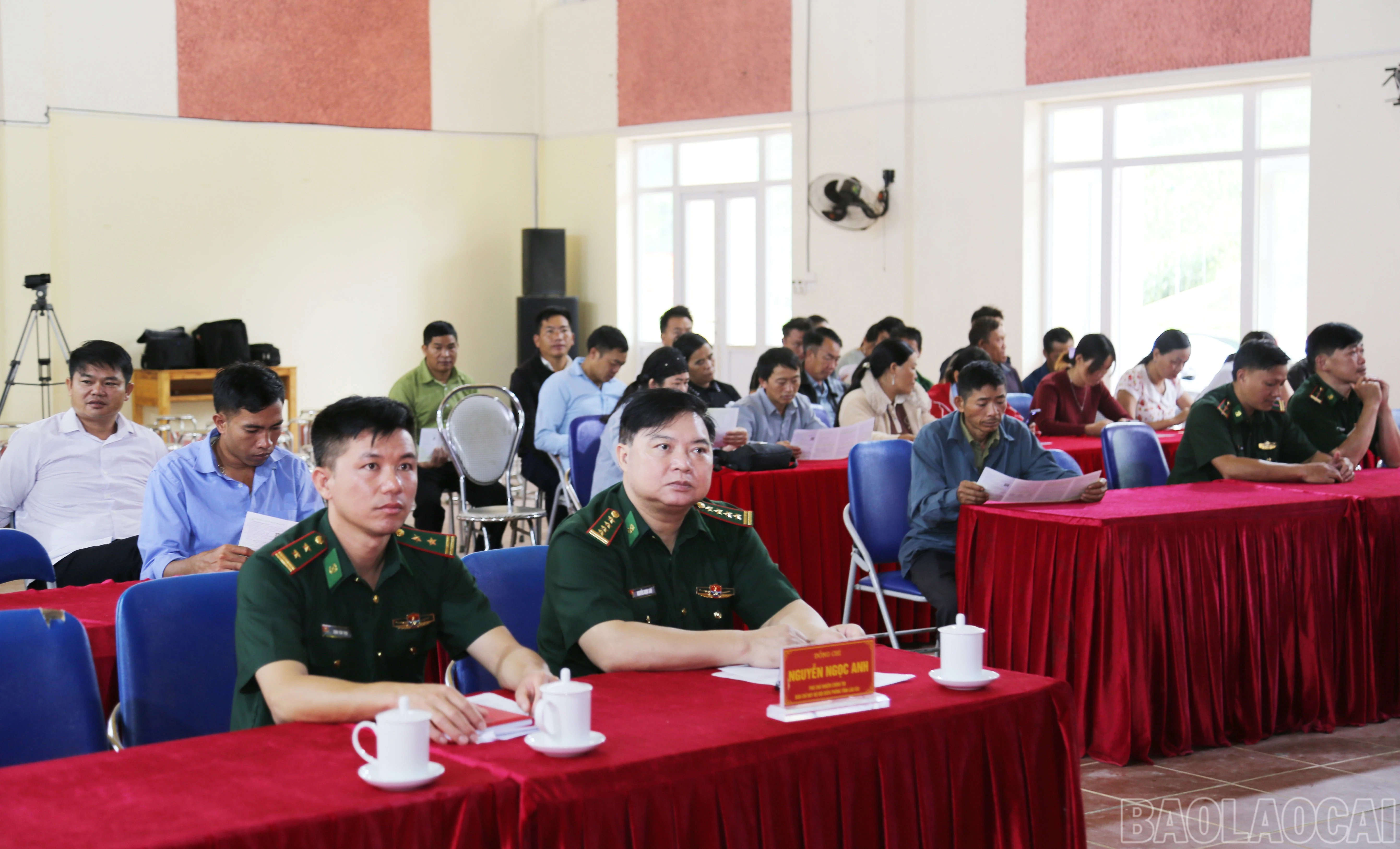 baolaocai-br_a-2.jpg