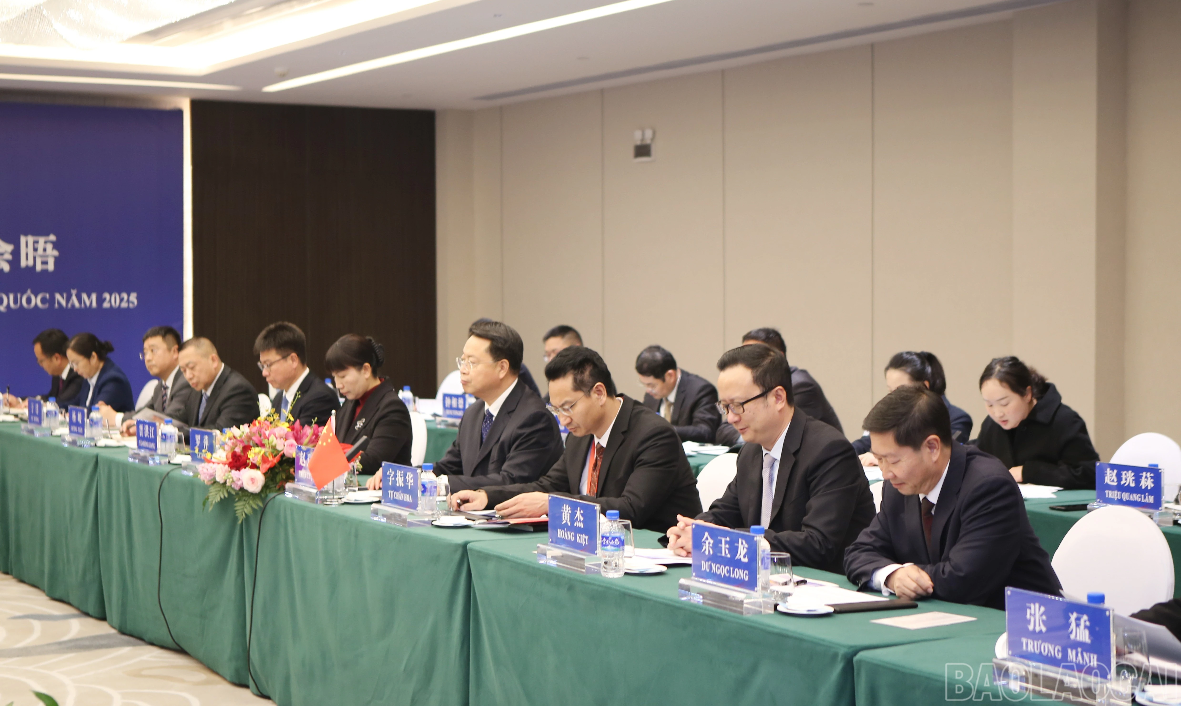 baolaocai-br_a-3.jpg