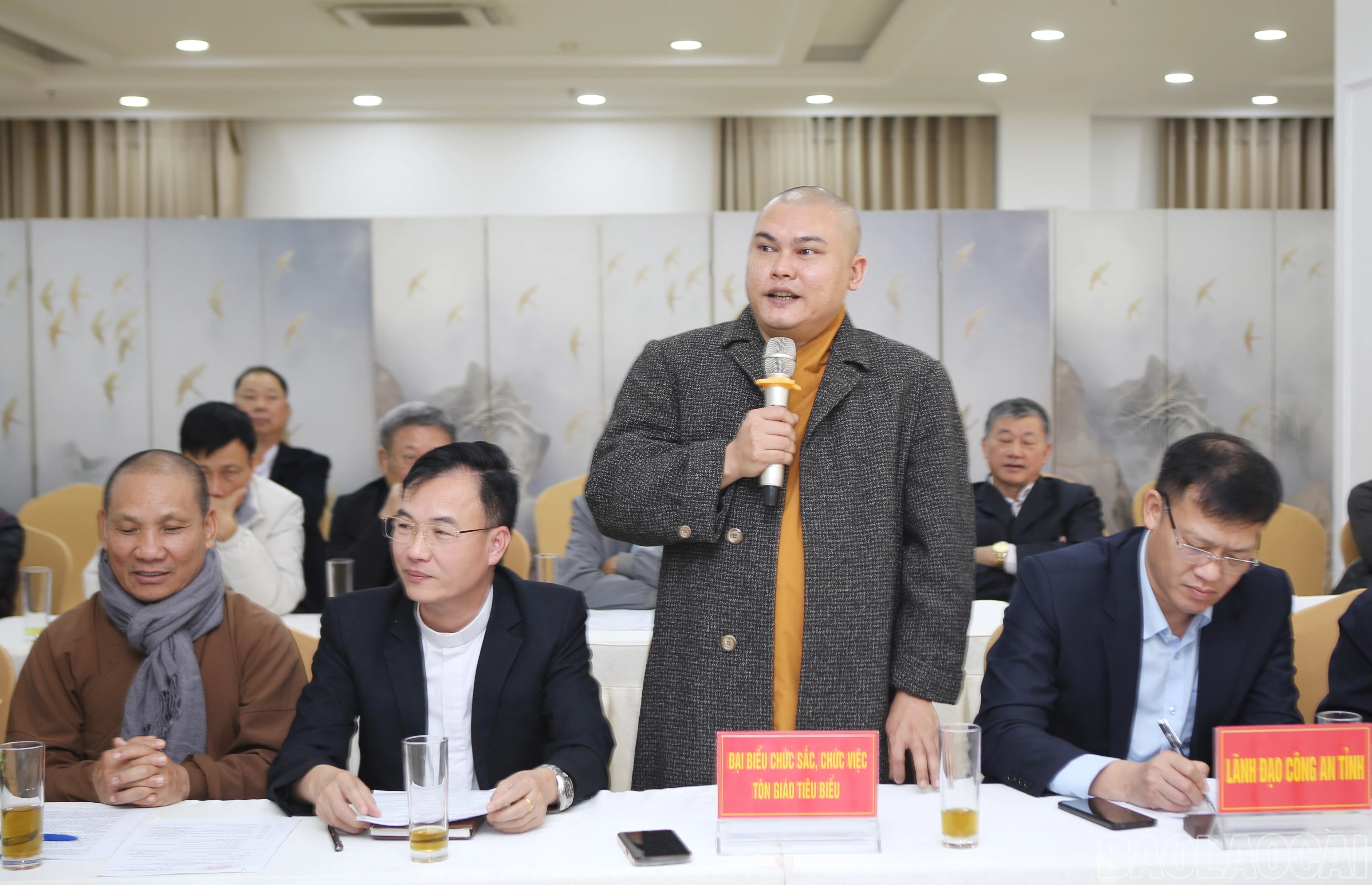 baolaocai-br_6.jpg