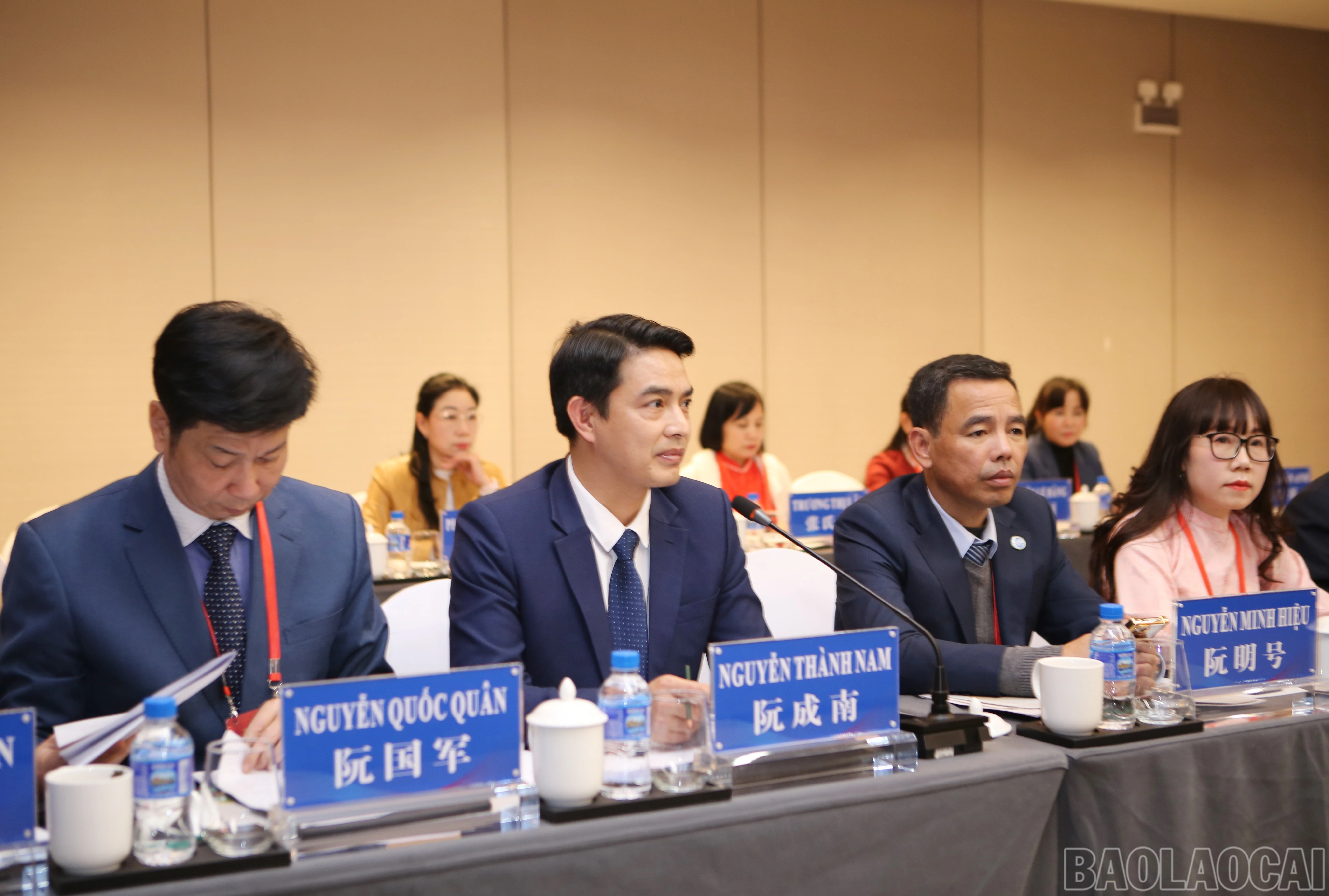baolaocai-br_bao-2.jpg