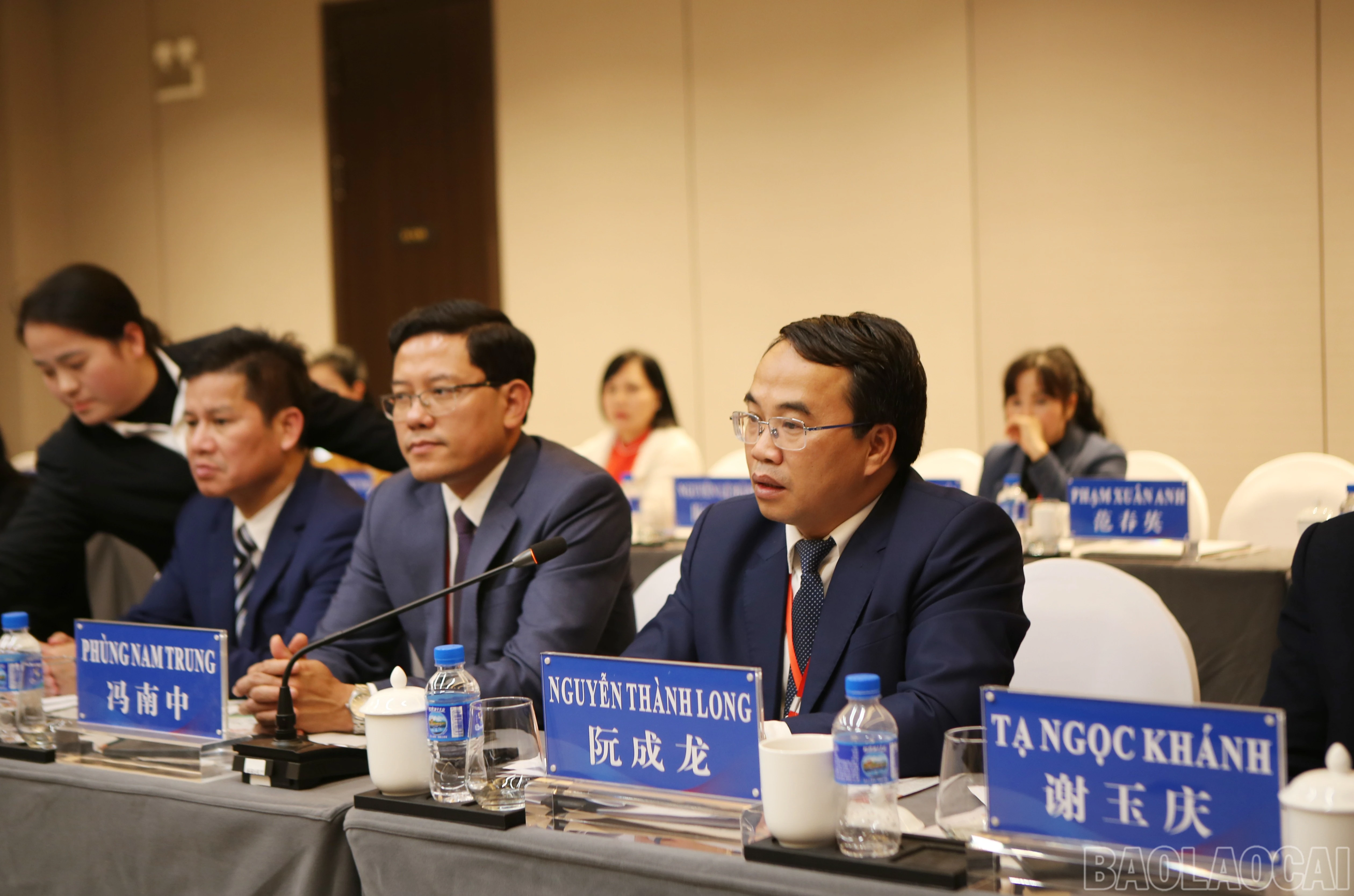 baolaocai-br_bao-3.jpg