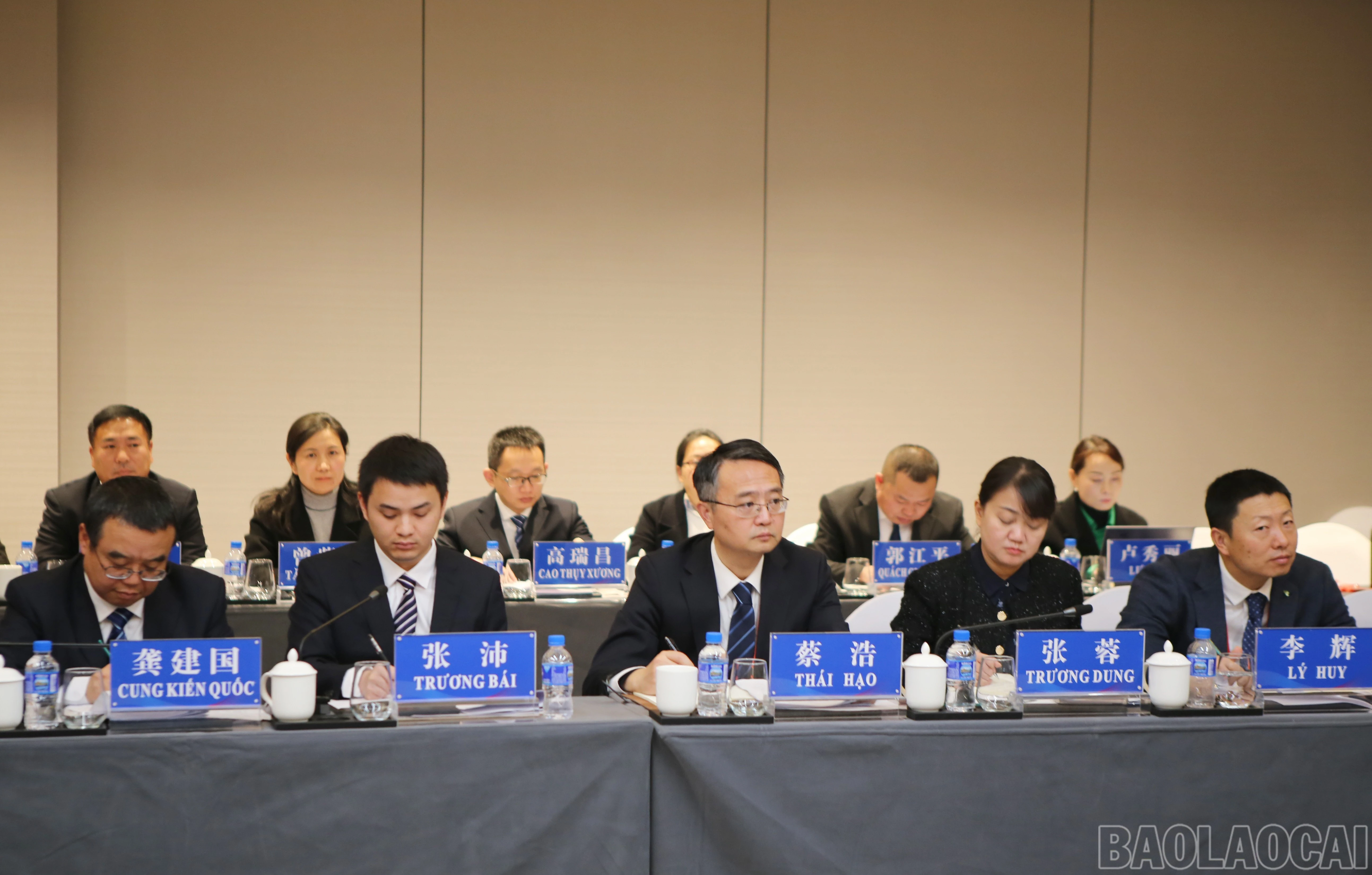 baolaocai-br_bao-4.jpg
