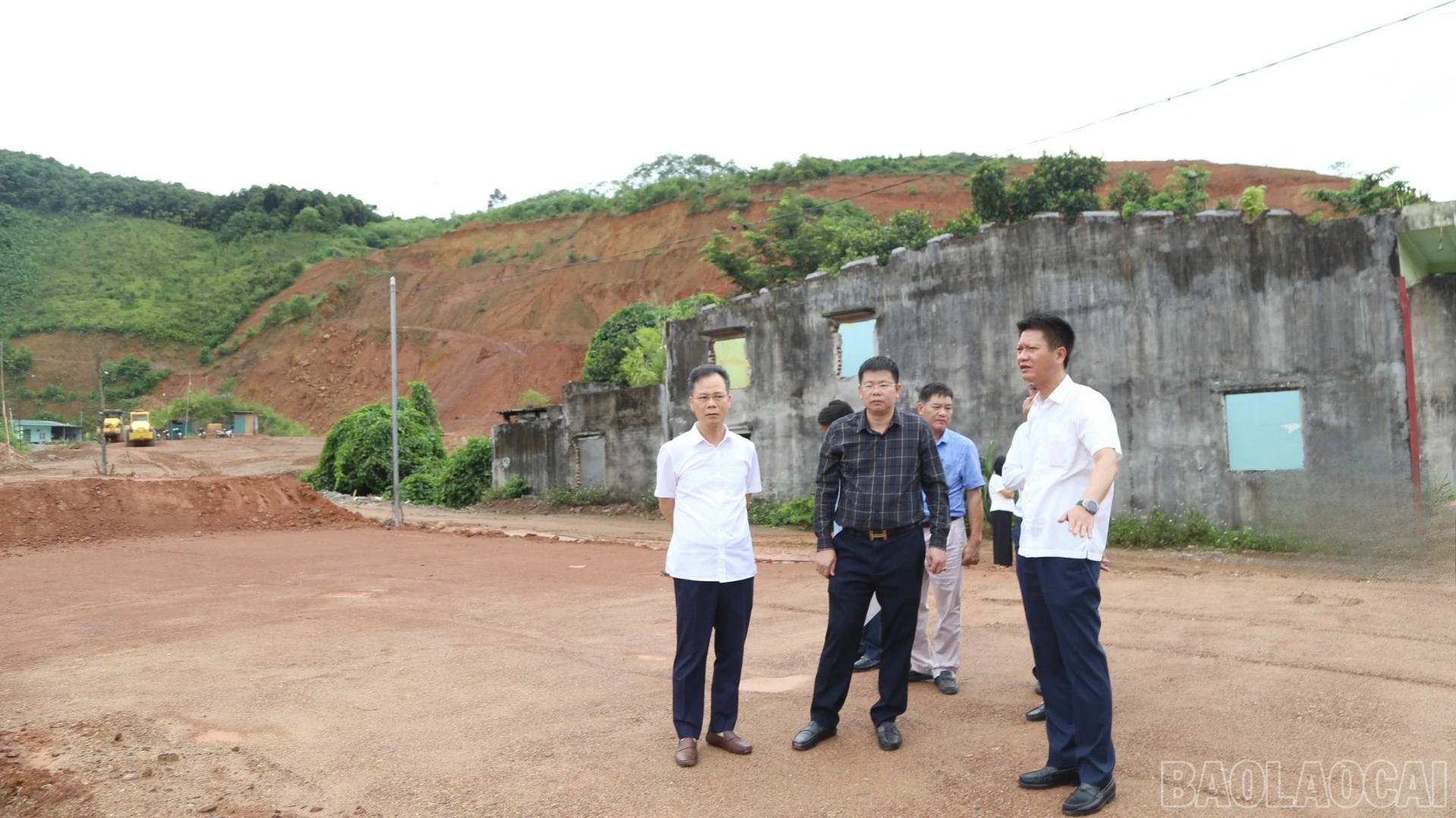 baolaocai-br_75.jpg