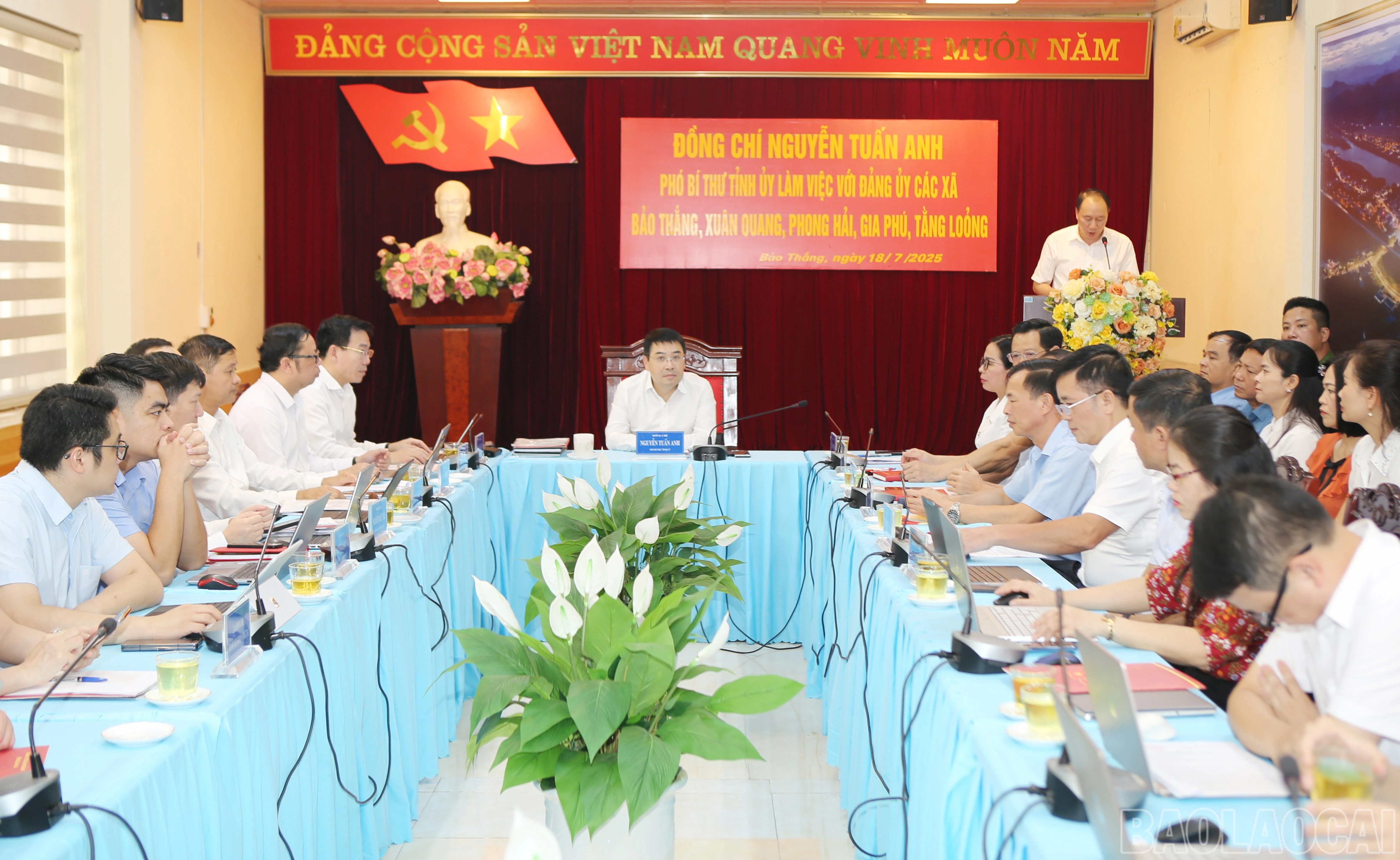 baolaocai-br_1.jpg