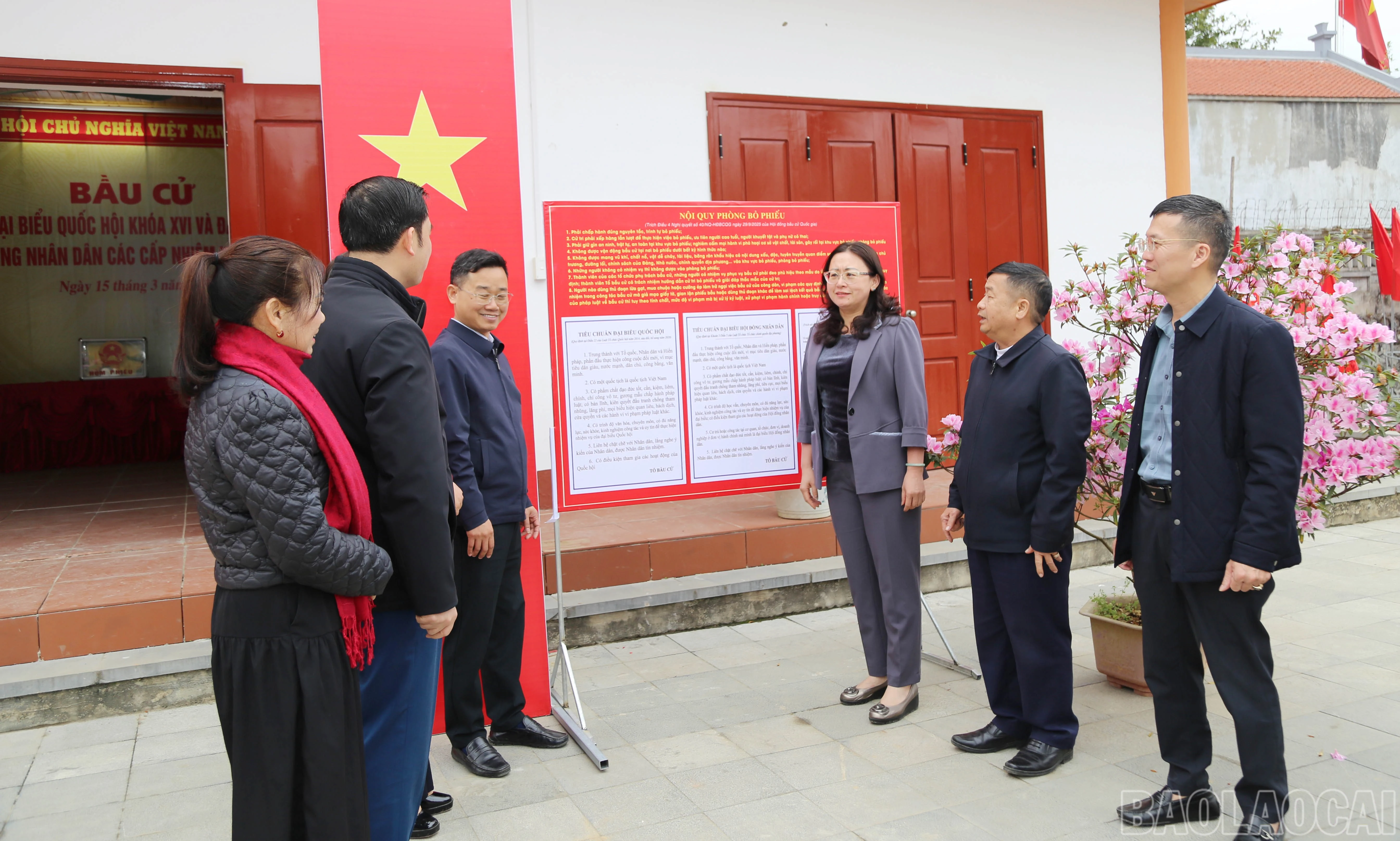 baolaocai-br_b-6.jpg