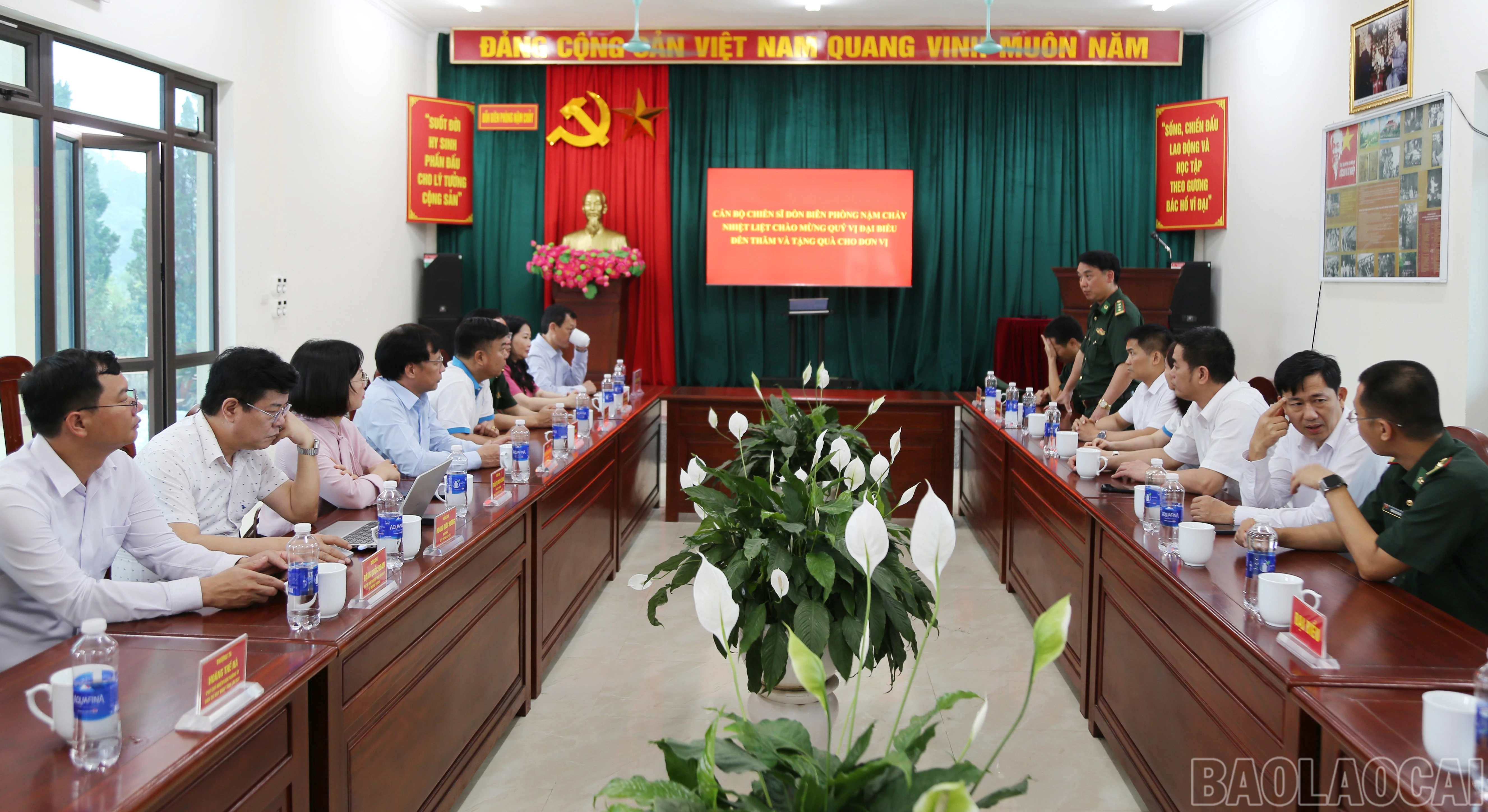 baolaocai-br_c-1.jpg
