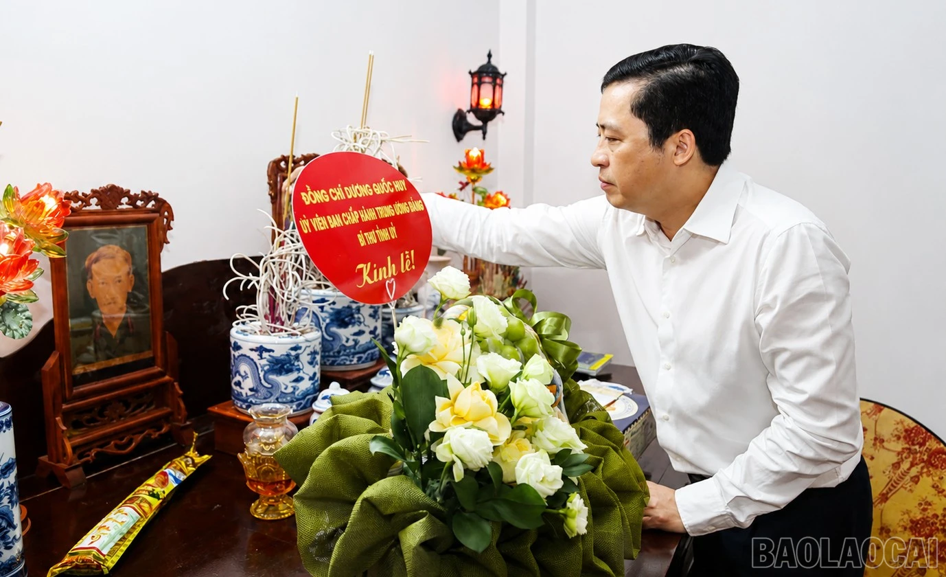 baolaocai-br_a-2-354.jpg