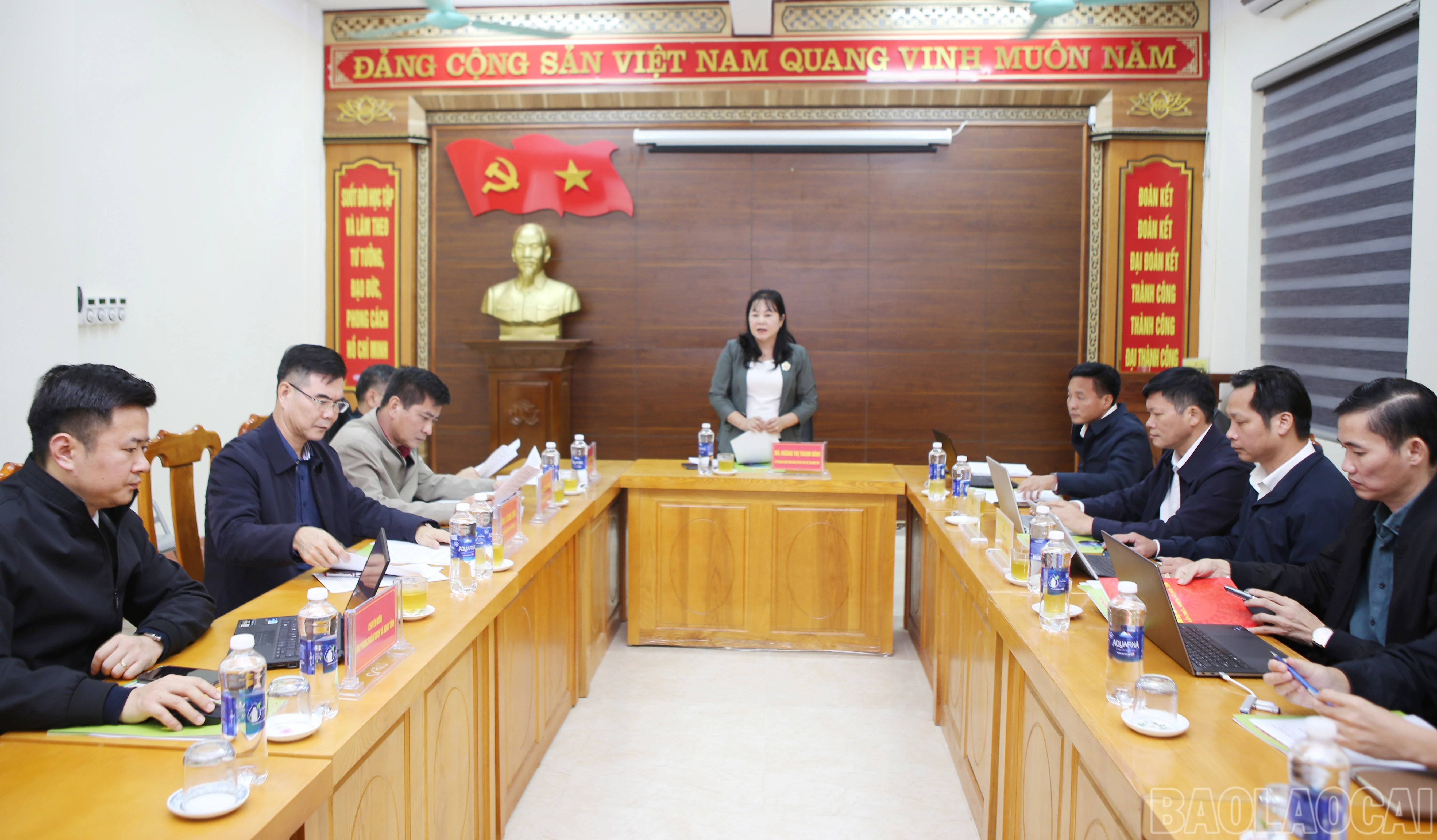 baolaocai-br_8.jpg
