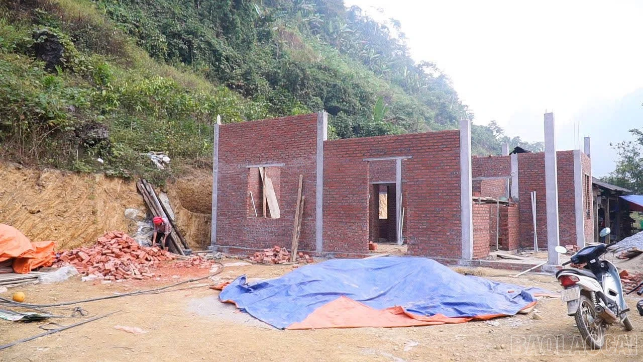 baolaocai-br_z6050260669226-e668066f7ff59c424cbc54b247b1fab5.jpg