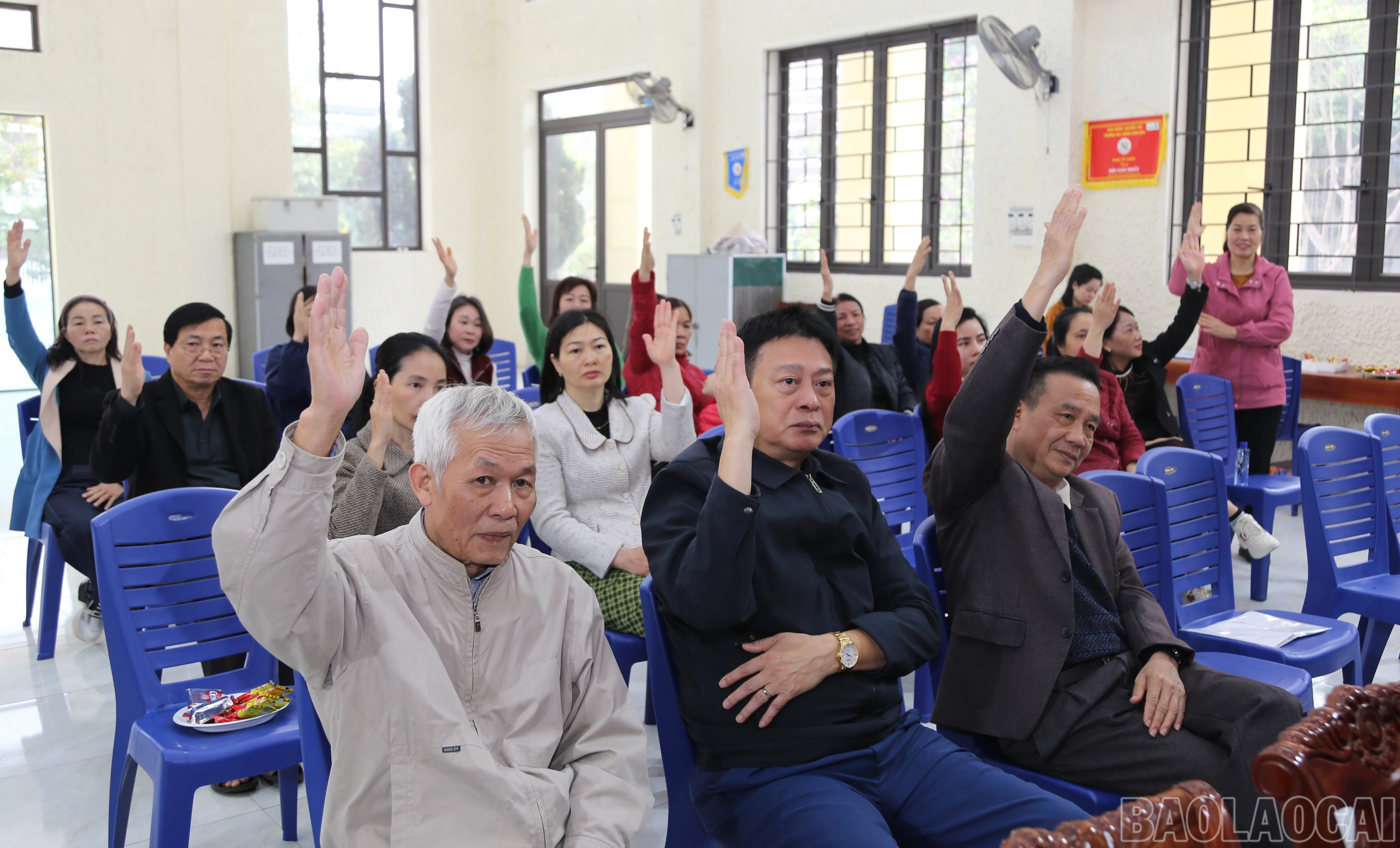 baolaocai-br_v-8.jpg
