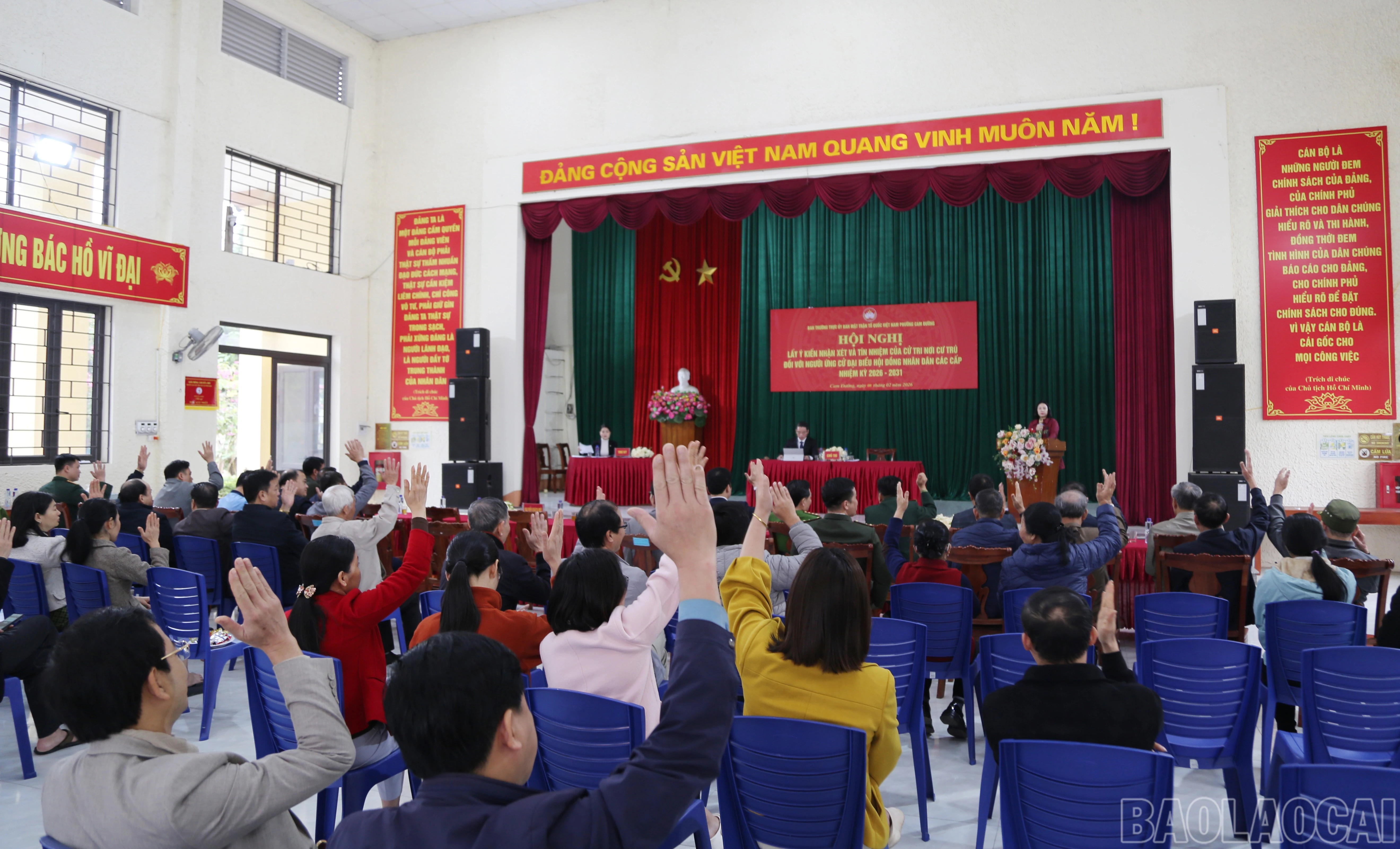 baolaocai-br_v-7.jpg
