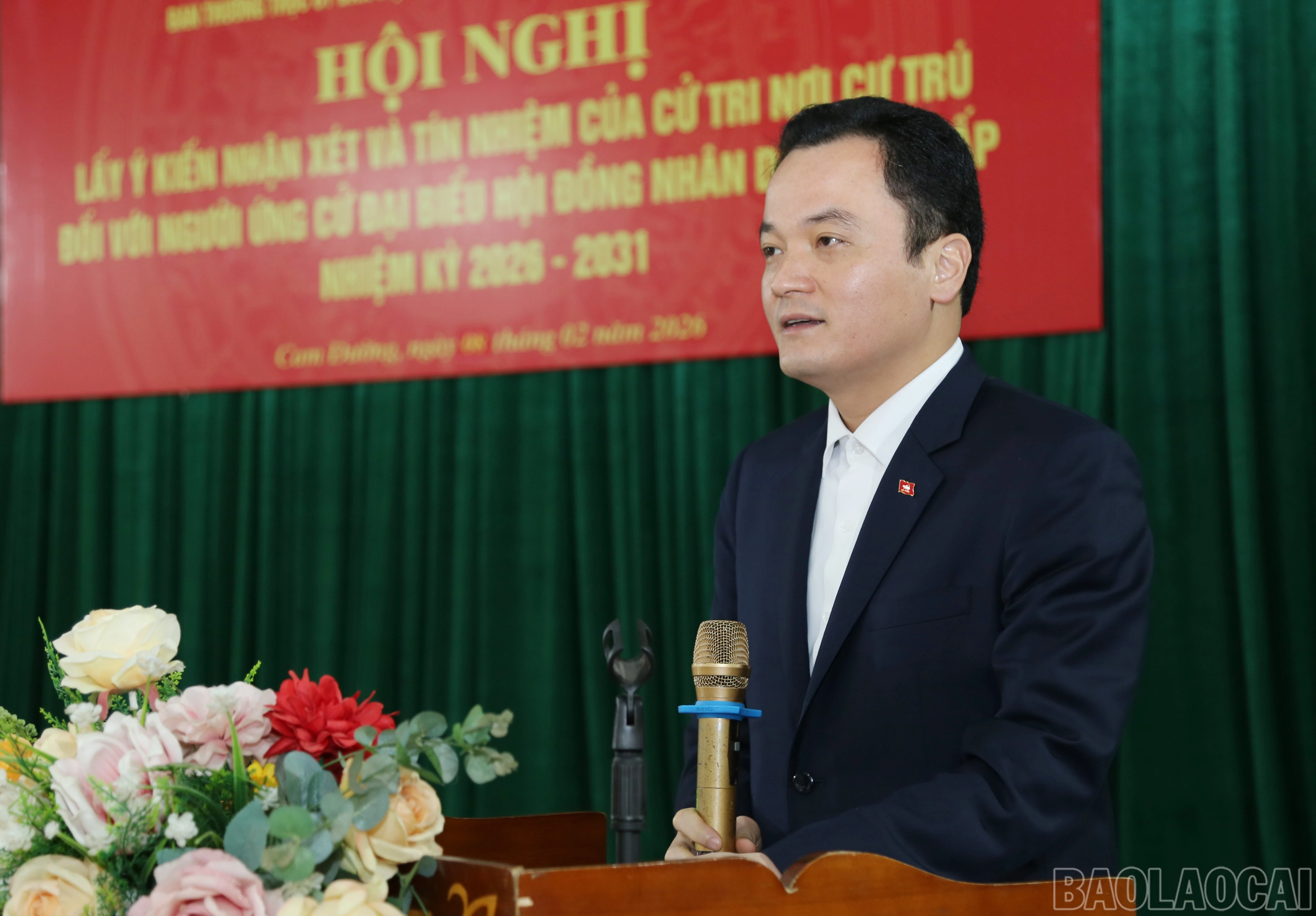 baolaocai-br_v-6.jpg