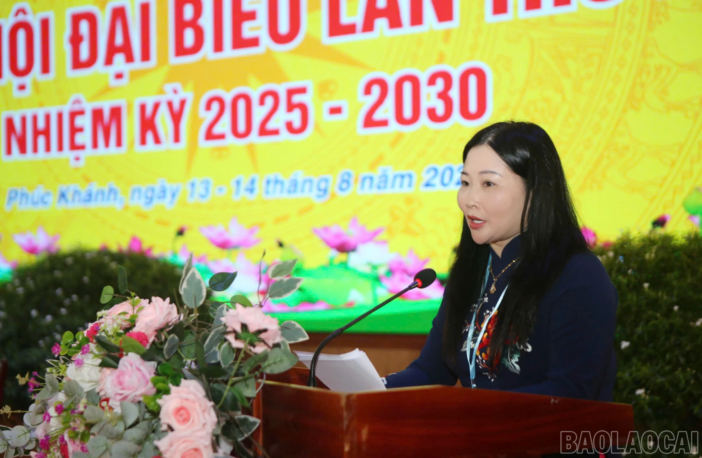 baolaocai-br_pk-5.jpg