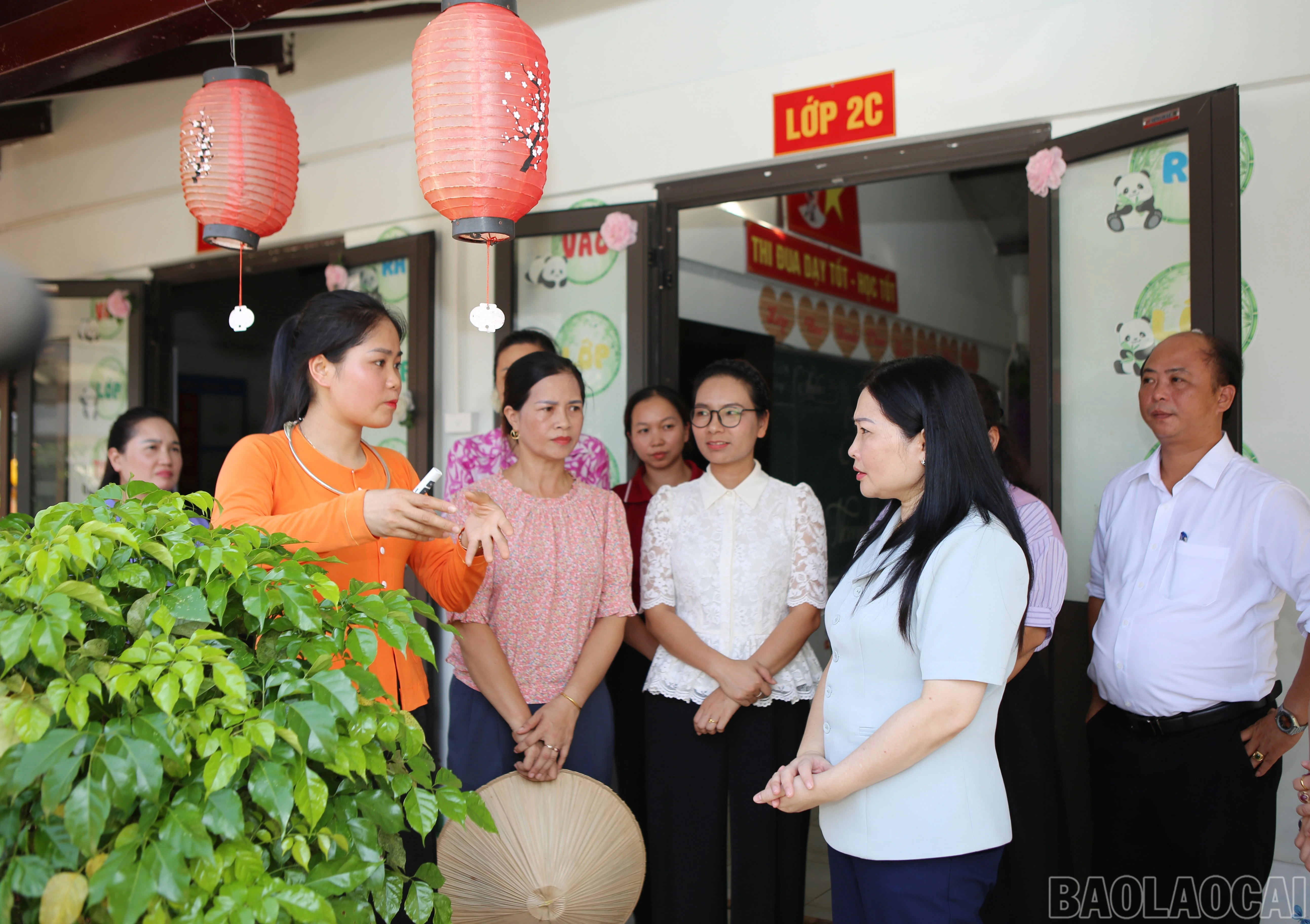 baolaocai-br_k-4.jpg