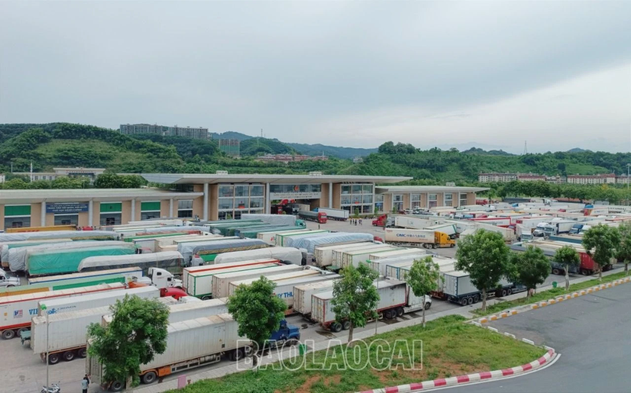 CK9.jpg