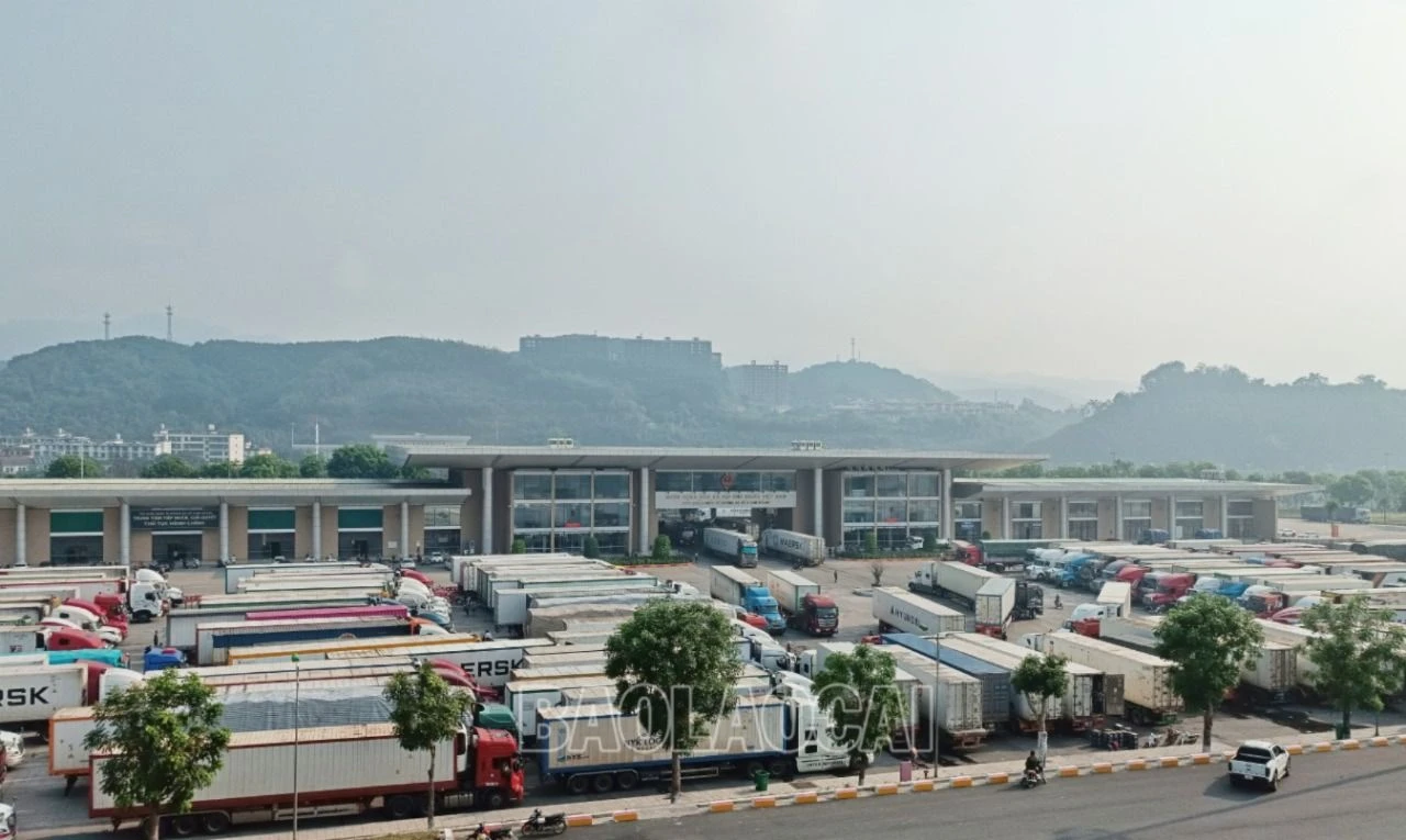 CK1-5.jpg