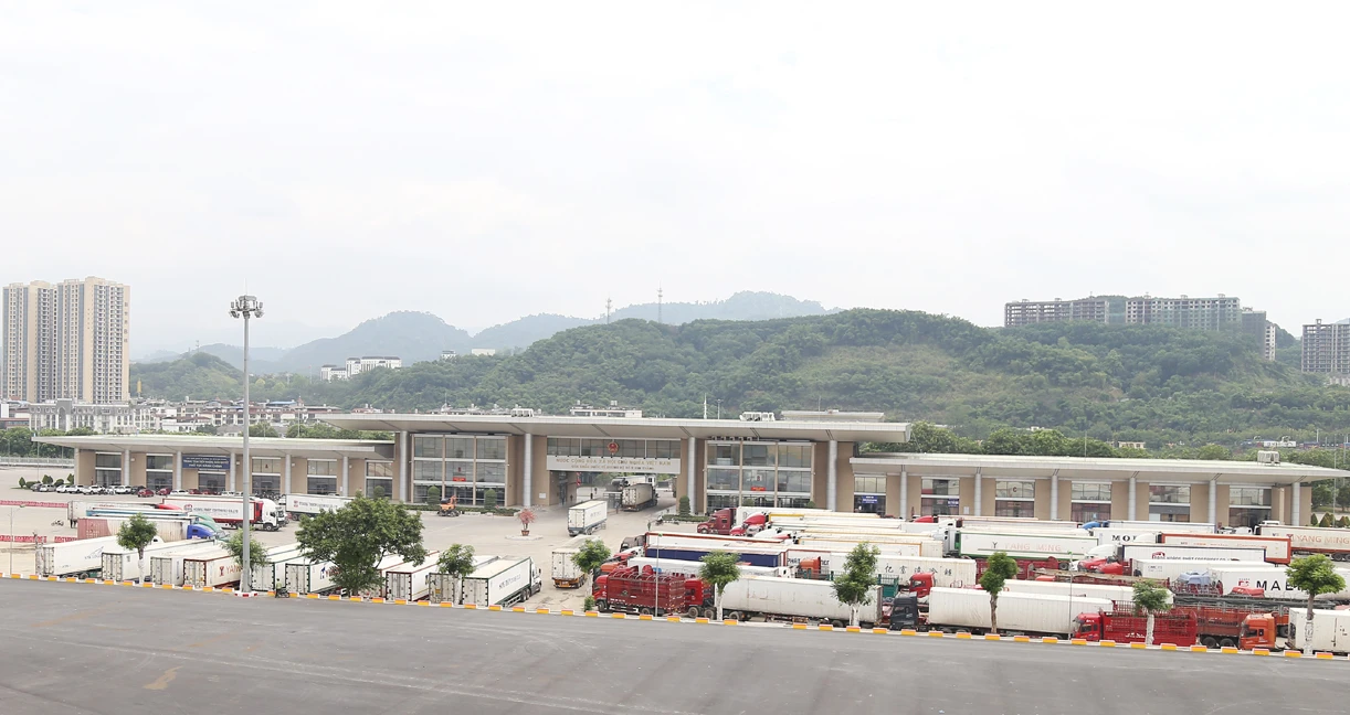 P1.jpg