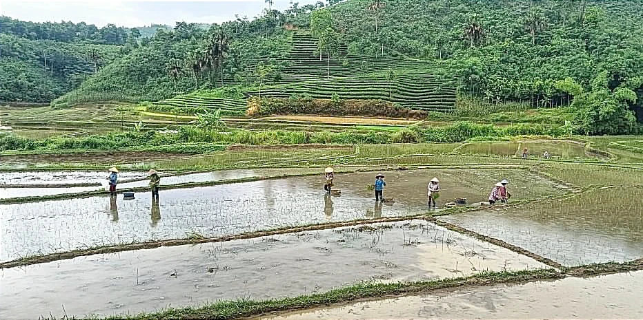 L11.jpg