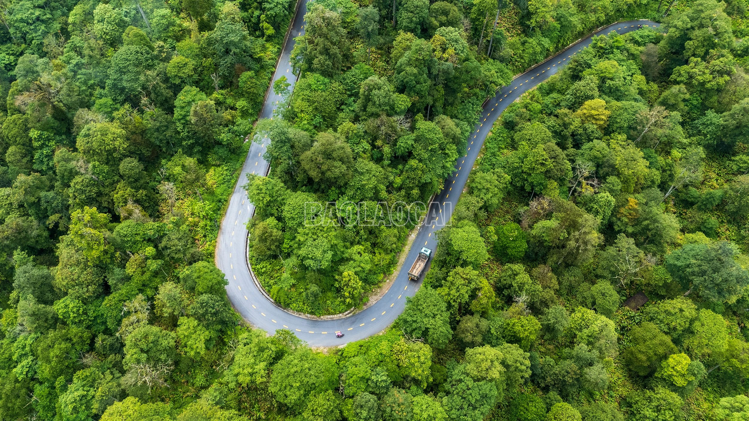 baolaocai-c_dji-20260723143416-0178-d.jpg