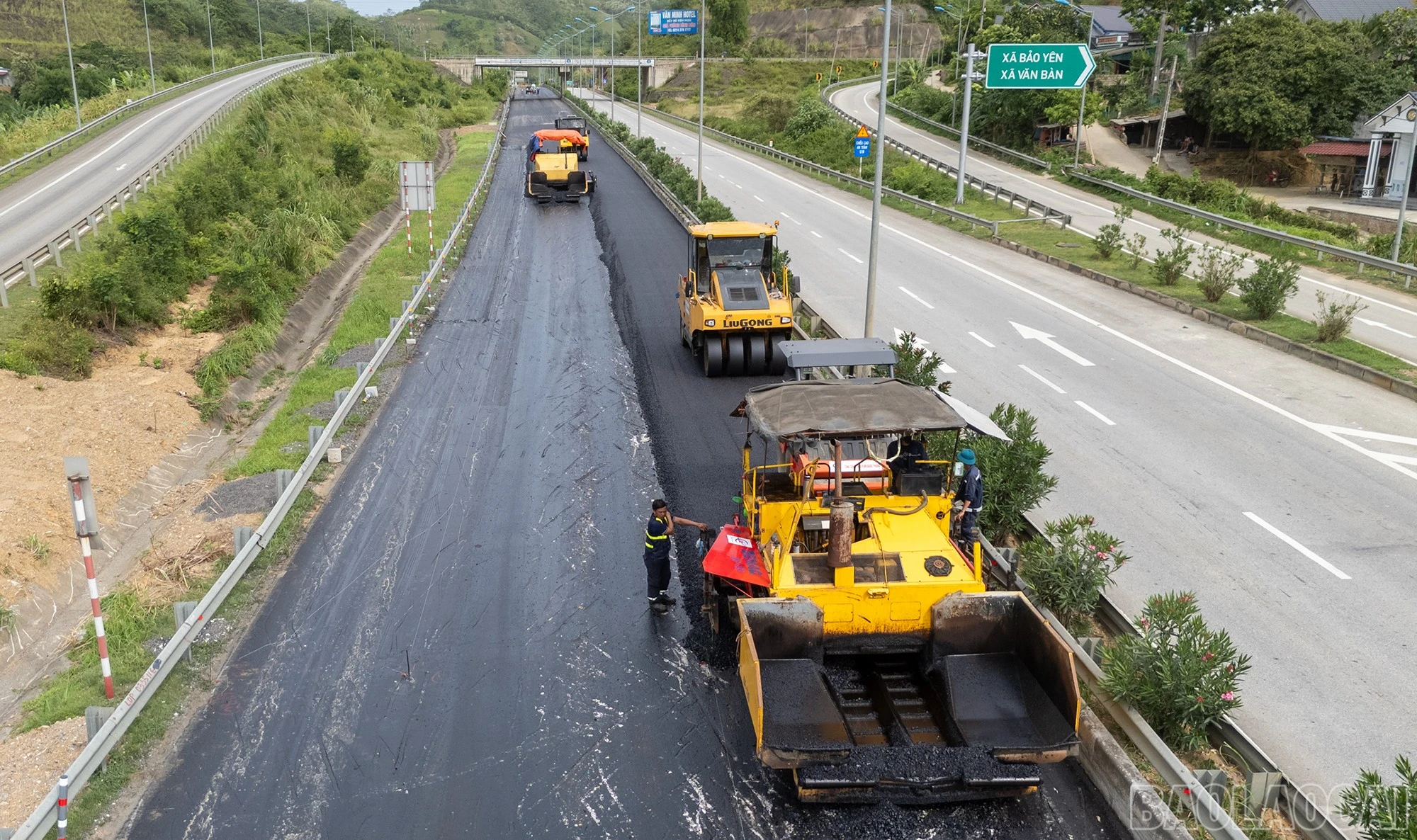 baolaocai-br_5.jpg
