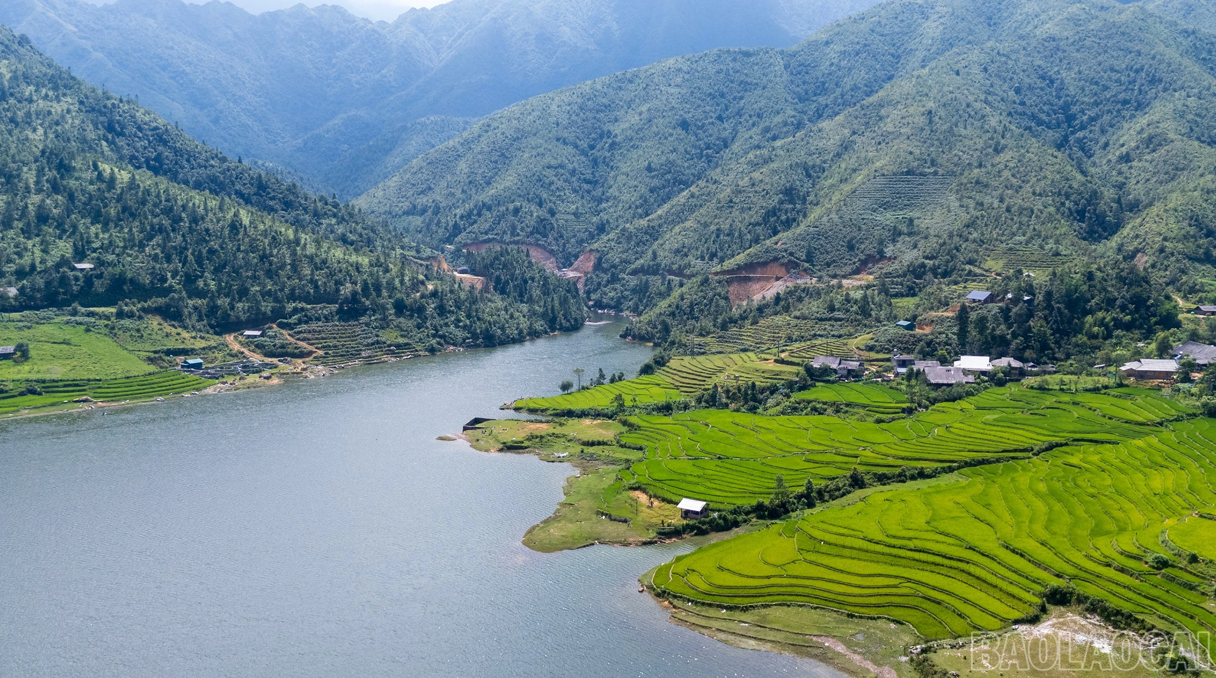 baolaocai-br_dji-20260713152649-0711-d.jpg