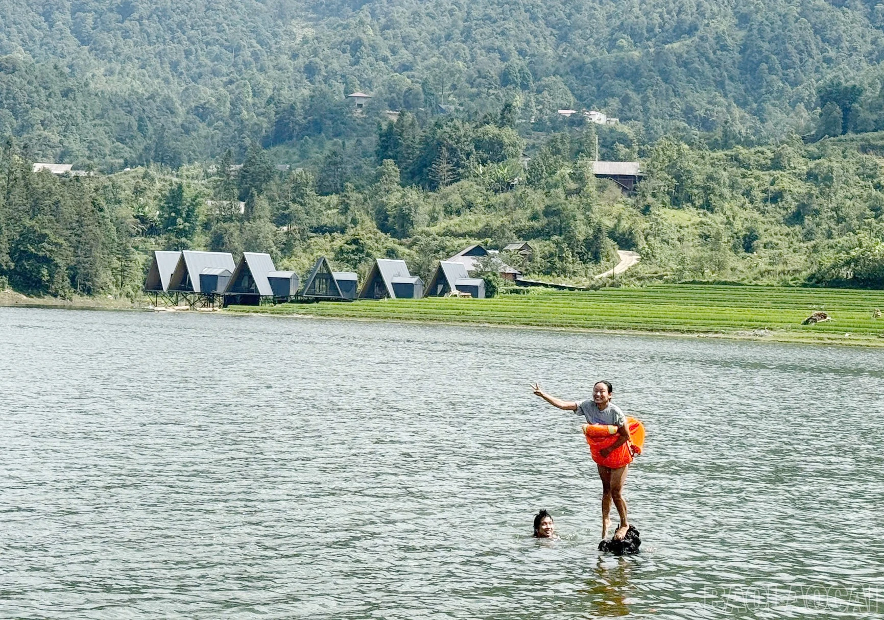 baolaocai-br_03d0bc1d-6297-42f1-832b-865ea16a1fed.jpg