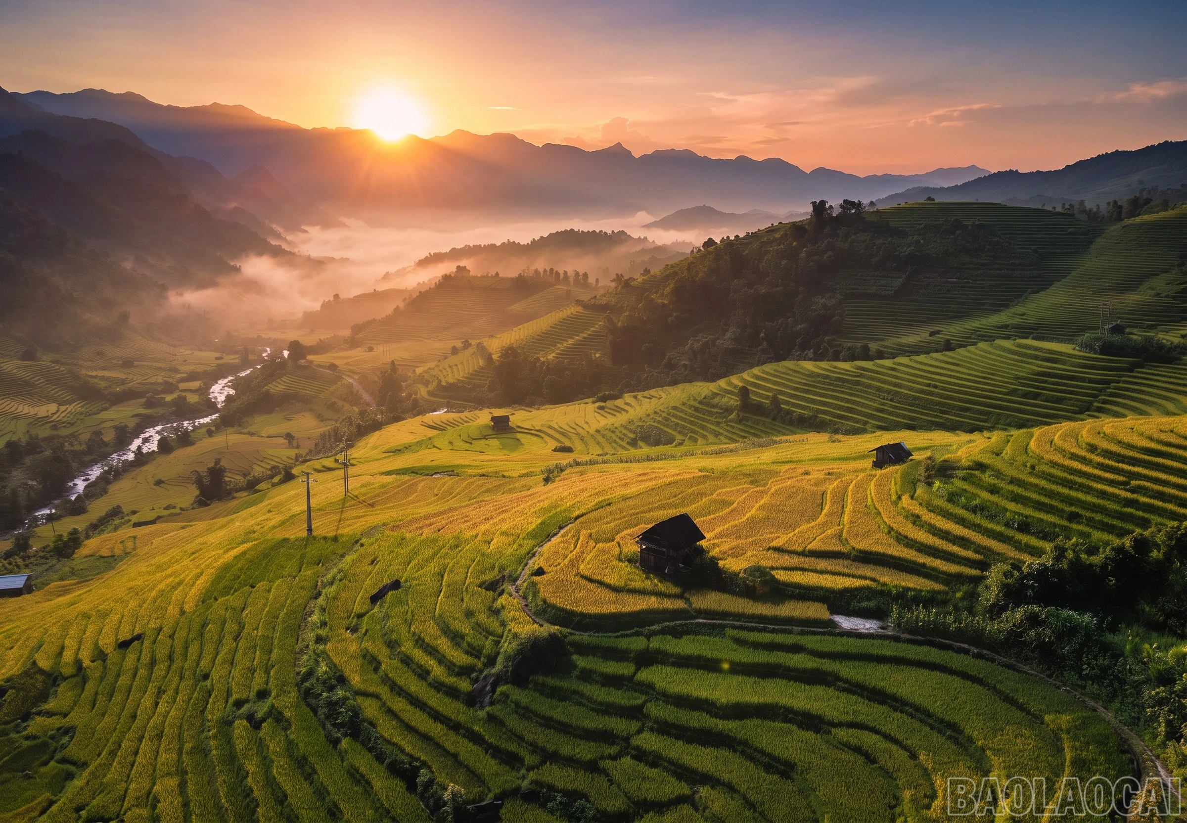 baolaocai-br_mb10.jpg